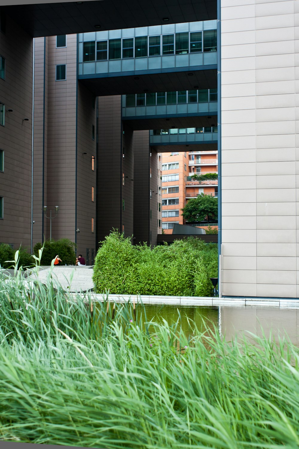 green grass near white building during daytime