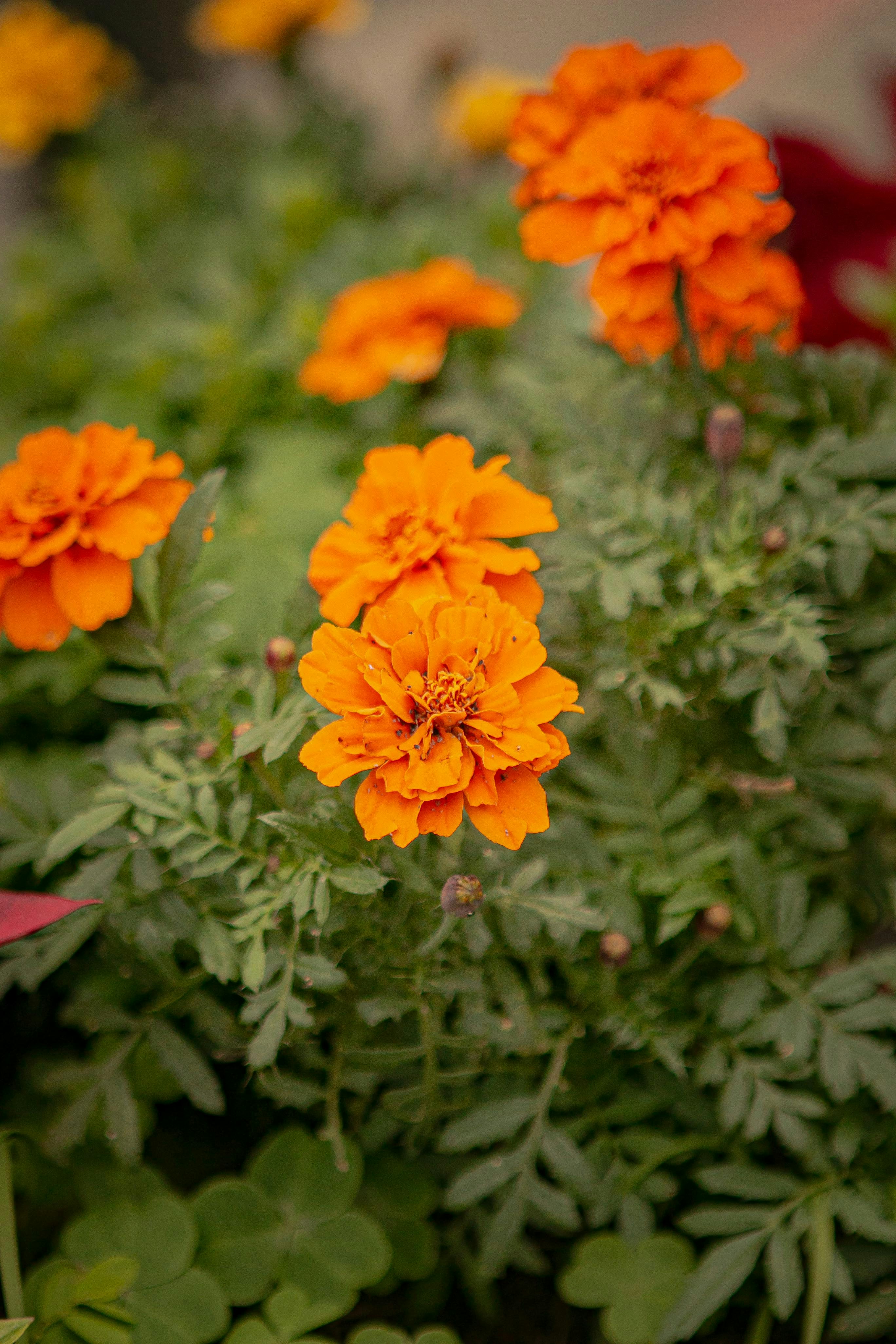 Photo by benjamin_1017