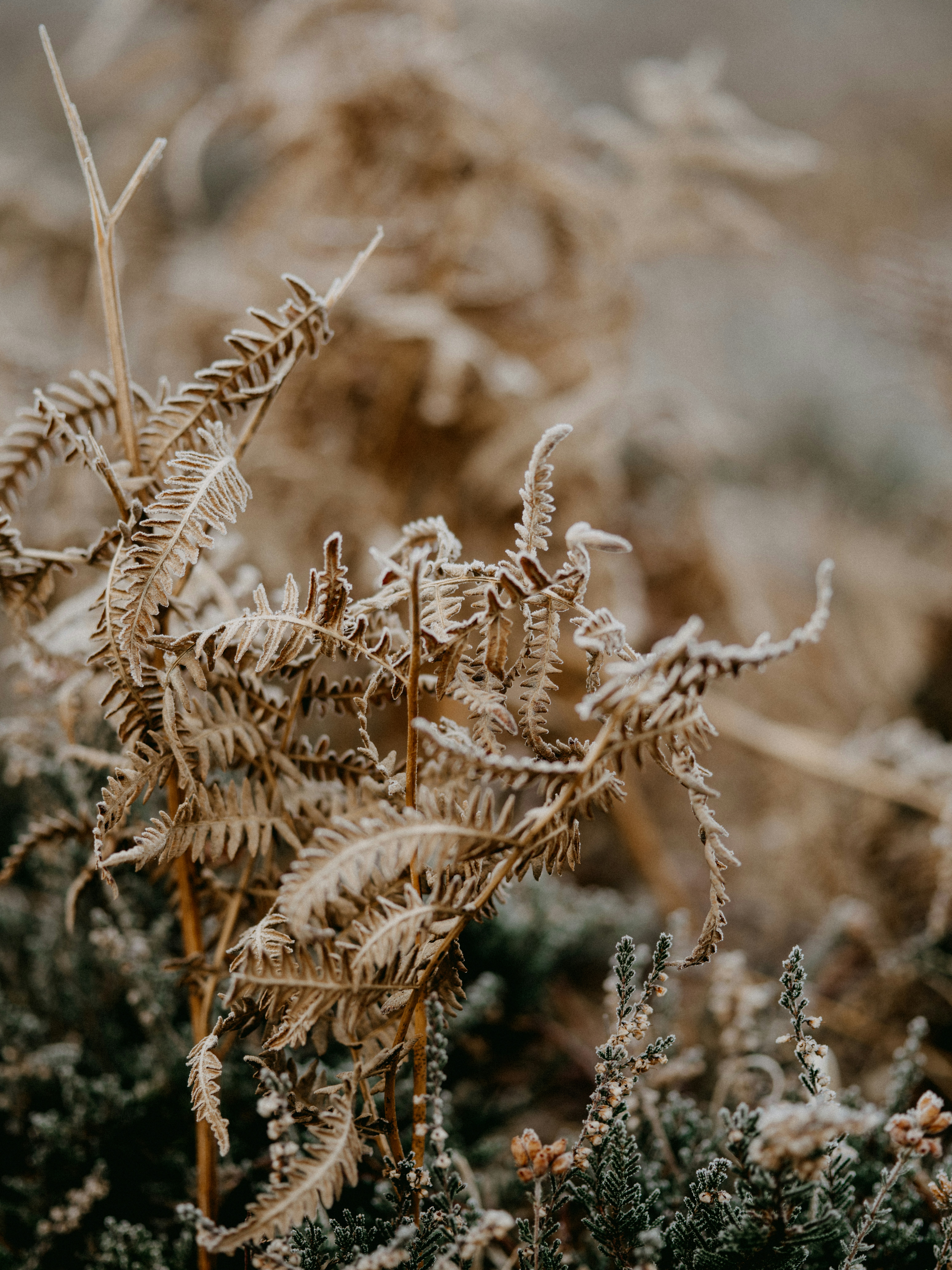 Photo by anniespratt