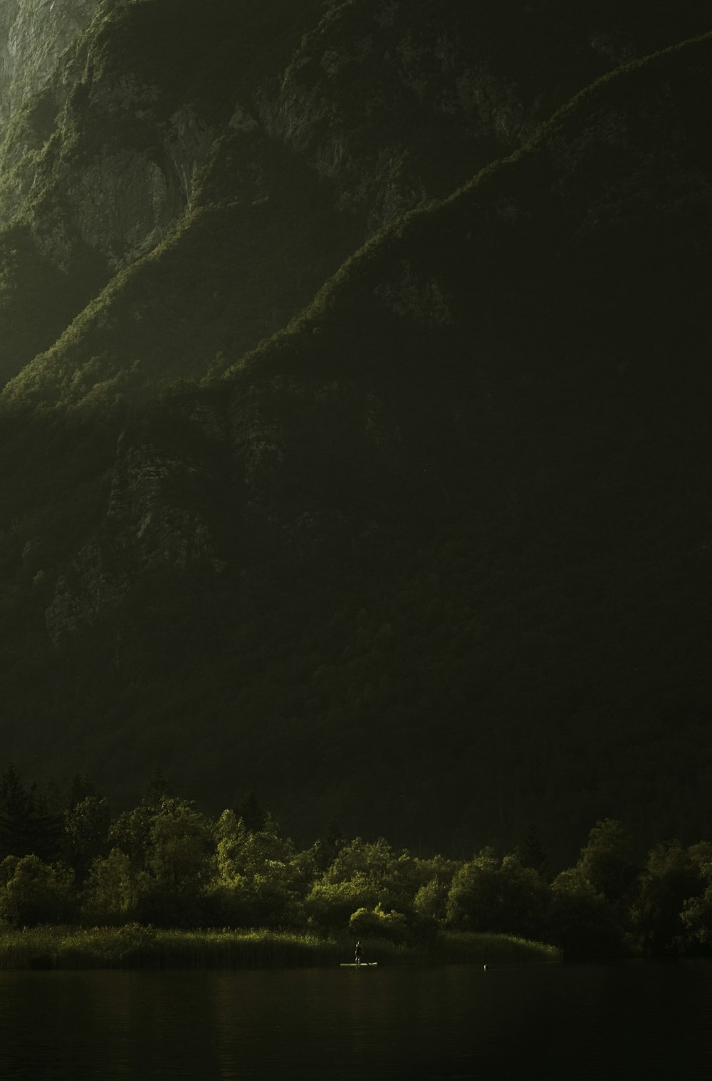 green trees on mountain during daytime