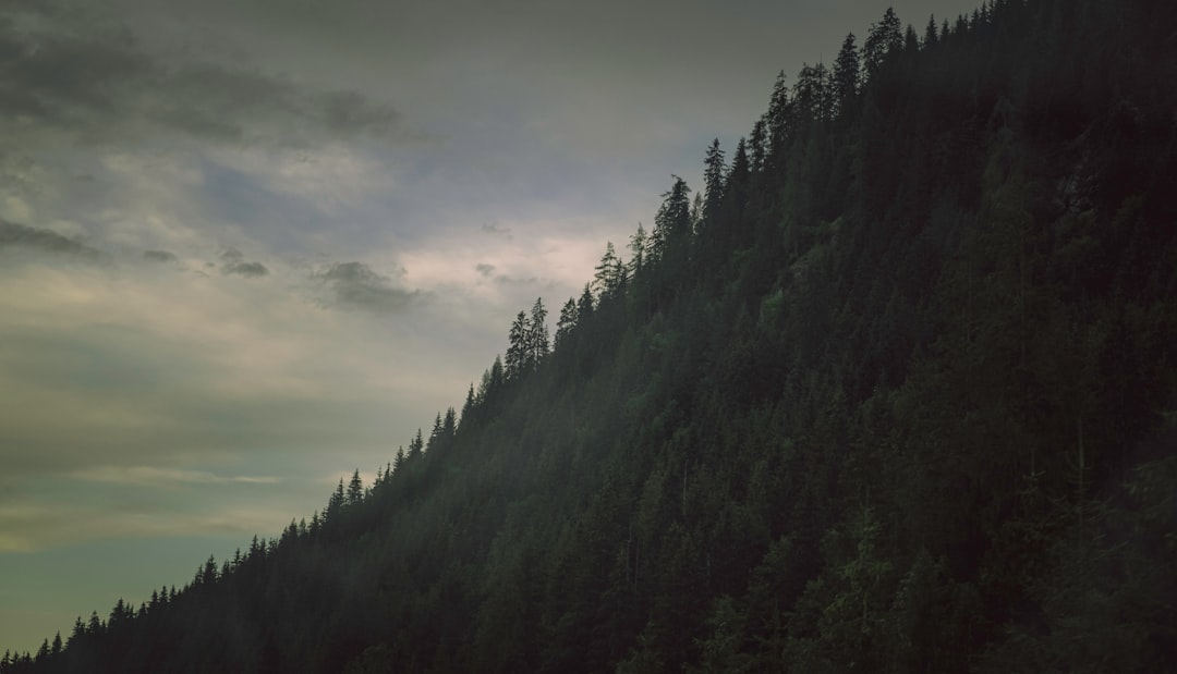 Mountain photo spot Julijske Alpe Lake Jasna