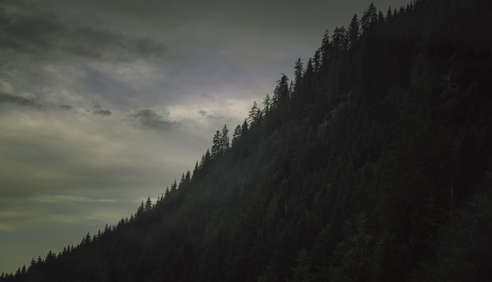 green trees on mountain under cloudy sky during daytime