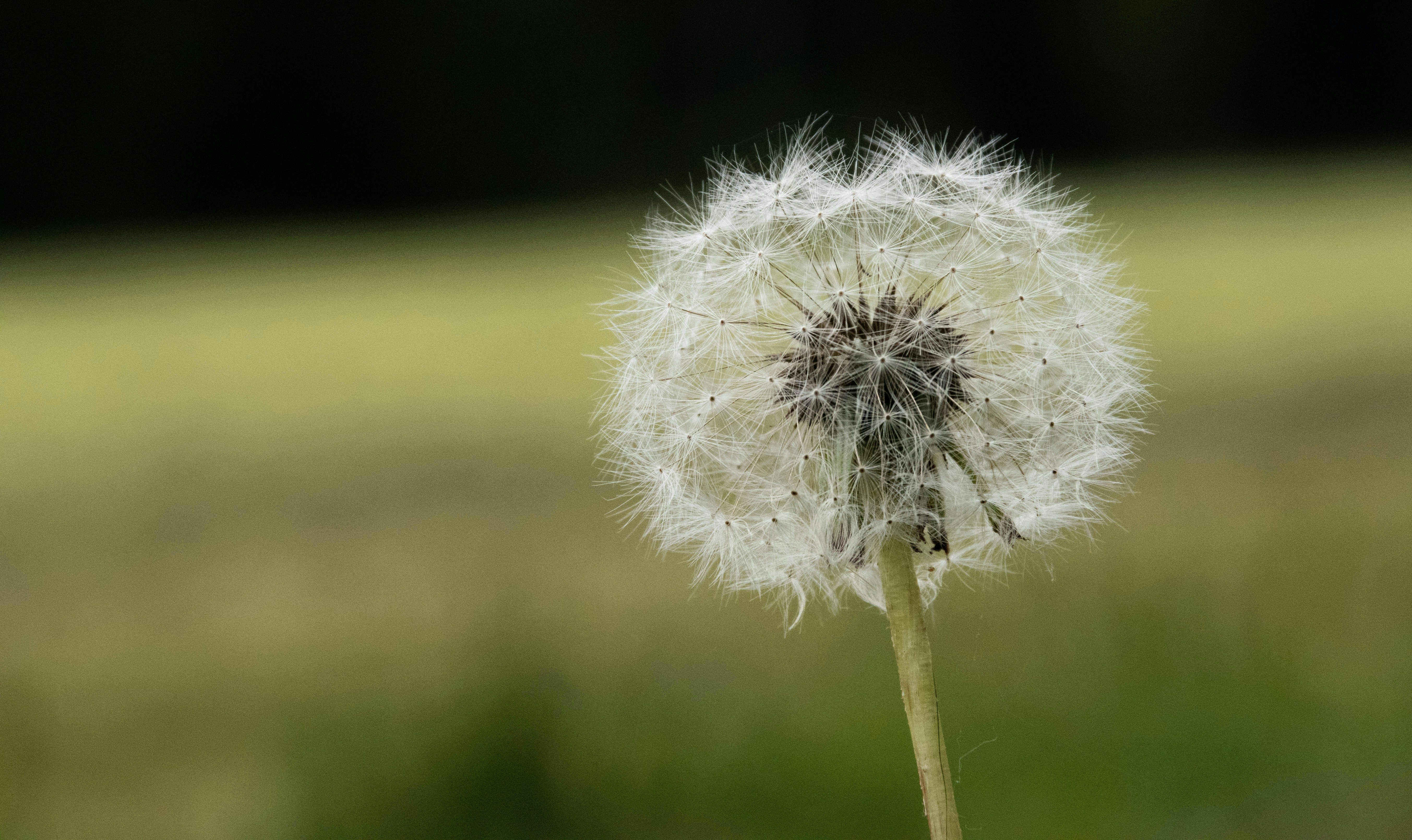 Photo by jefspeetjens