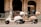 Two scooters are parked on a city street in front of a bank with ornate architecture. One scooter is white while the other is beige, both featuring windshields and storage compartments at the back.