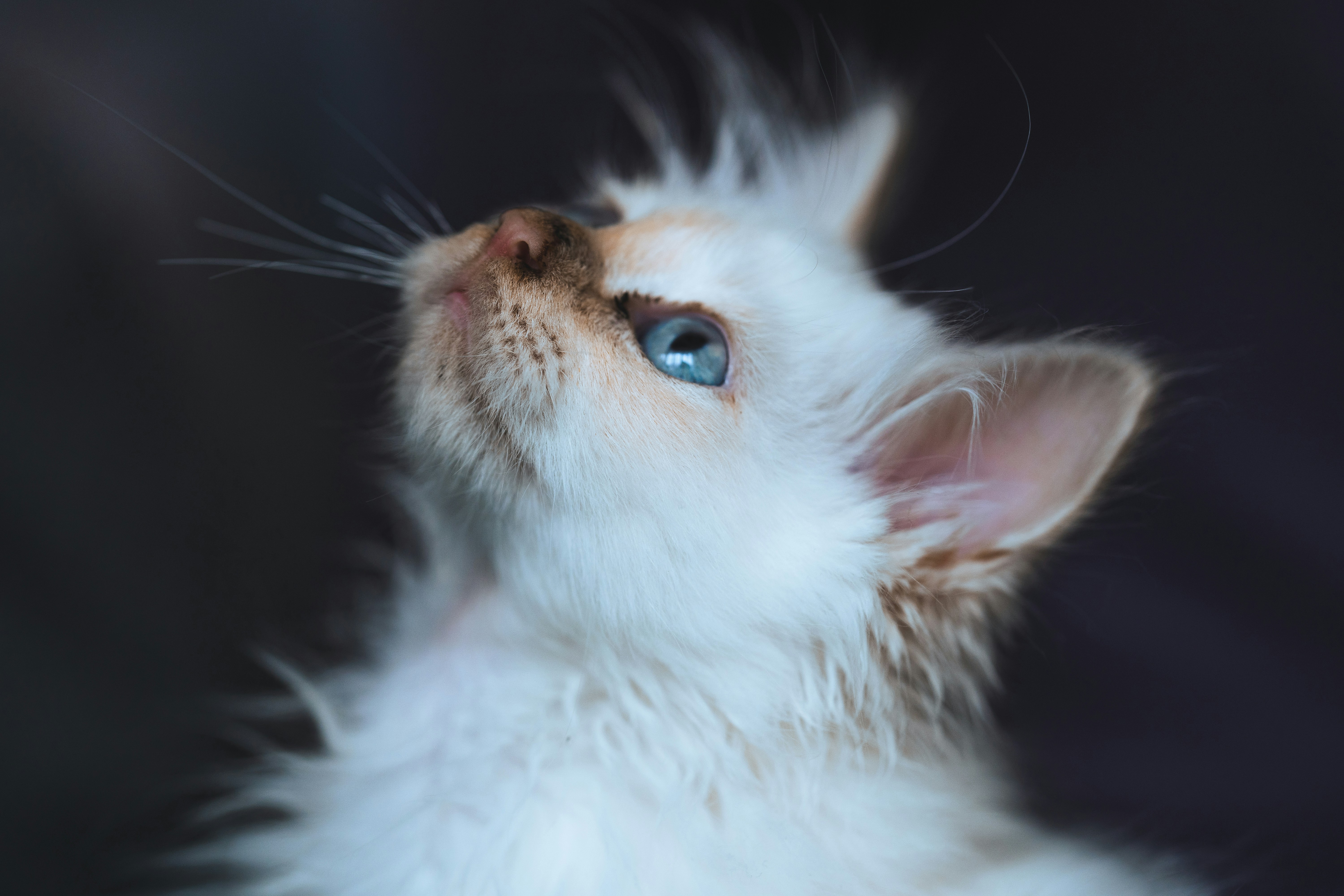 Photo by omarvellous14