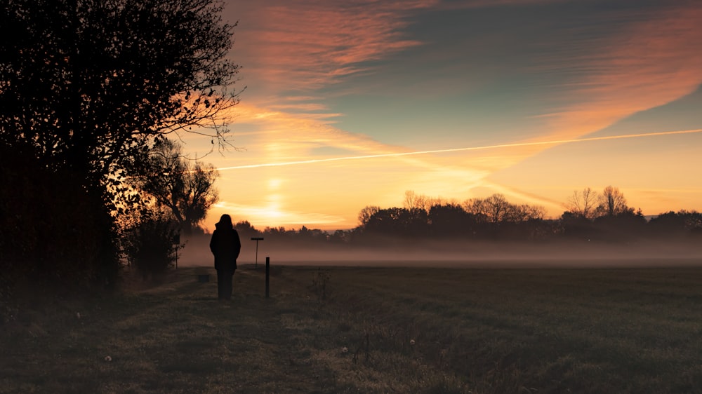 silhouette of man standing on grass field during sunset