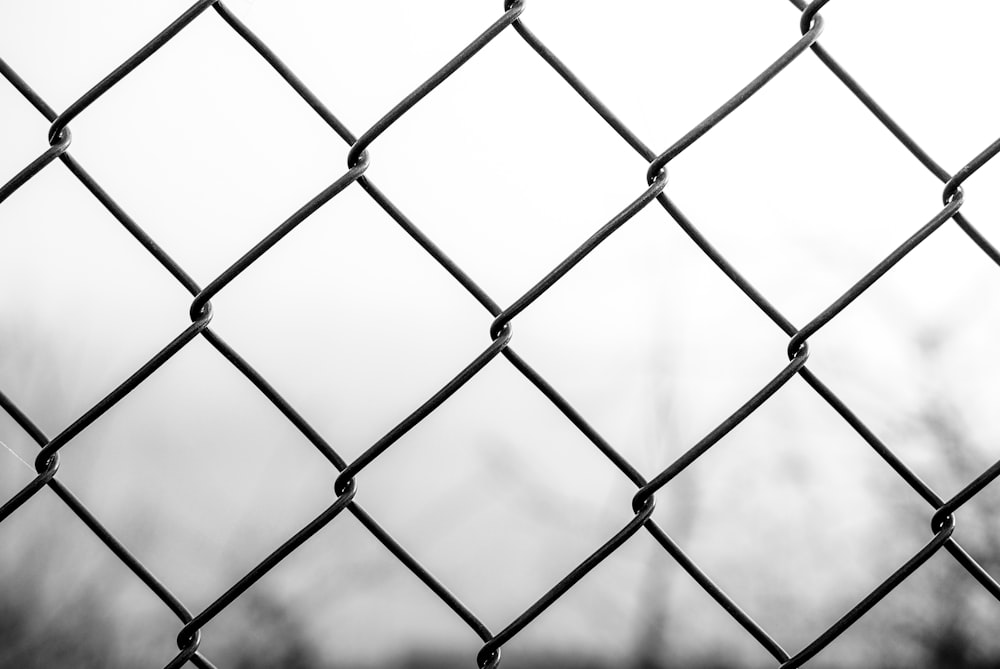 Foto in scala di grigi della recinzione a maglie di catena