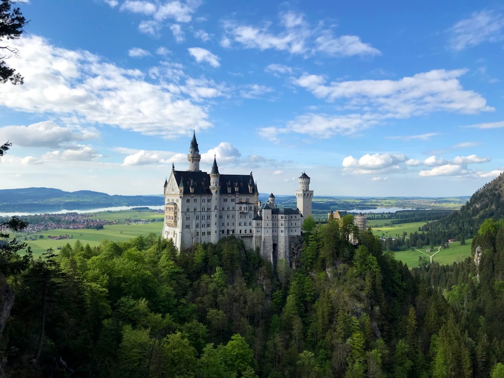 weißes und graues Schloss auf grünen Bäumen unter blauem Himmel tagsüber