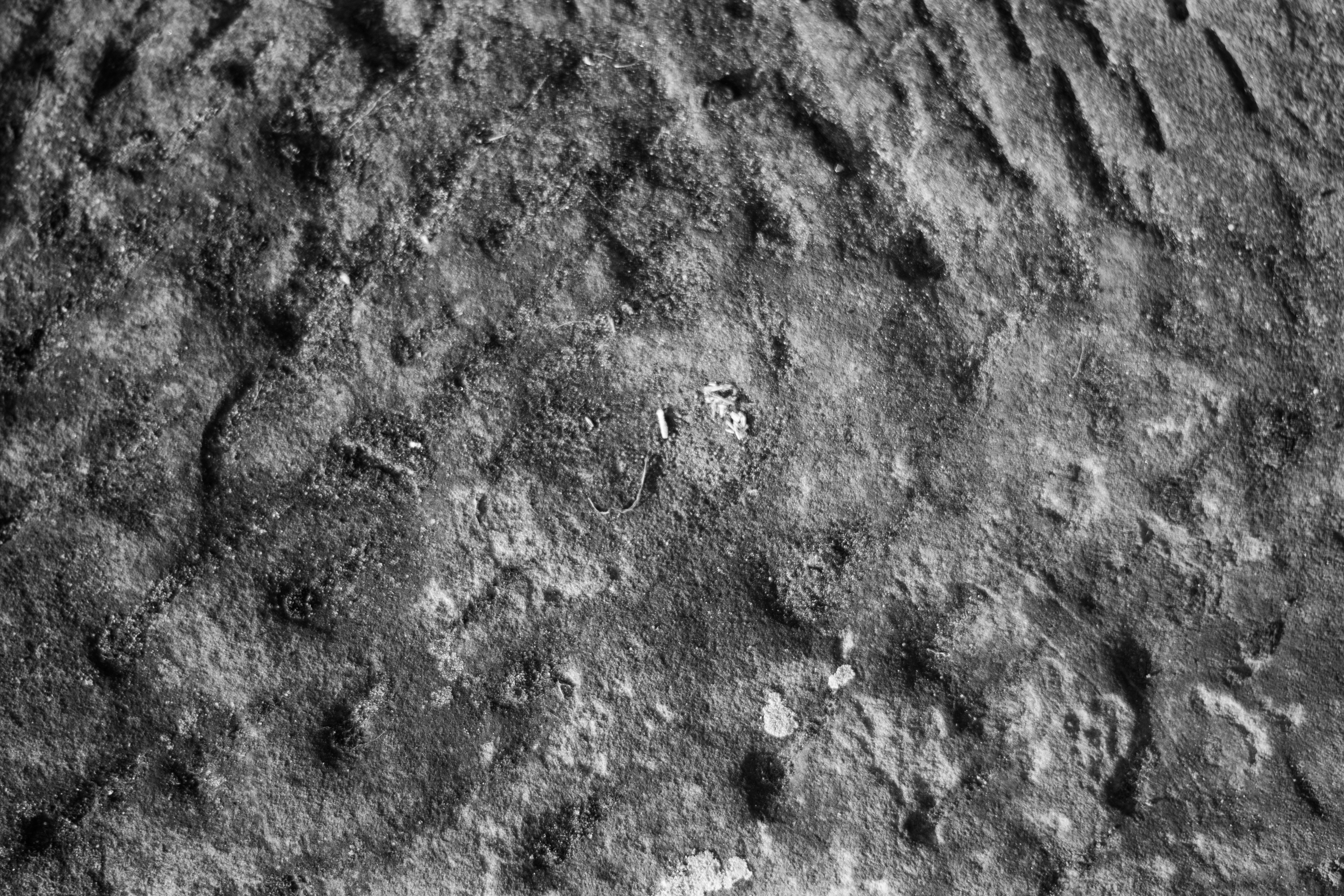 Photo by michaeloeser