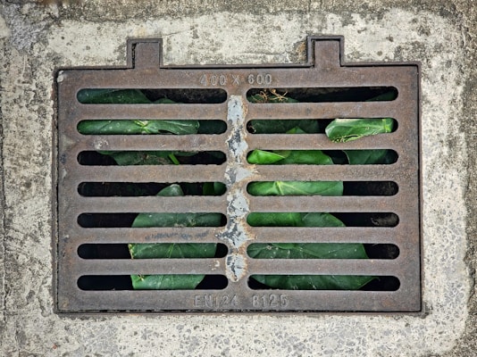 A metal grate covers a concrete surface, with green leaves visible beneath the slats of the grate. The grate has a slightly worn appearance, and natural textures are present in the concrete.