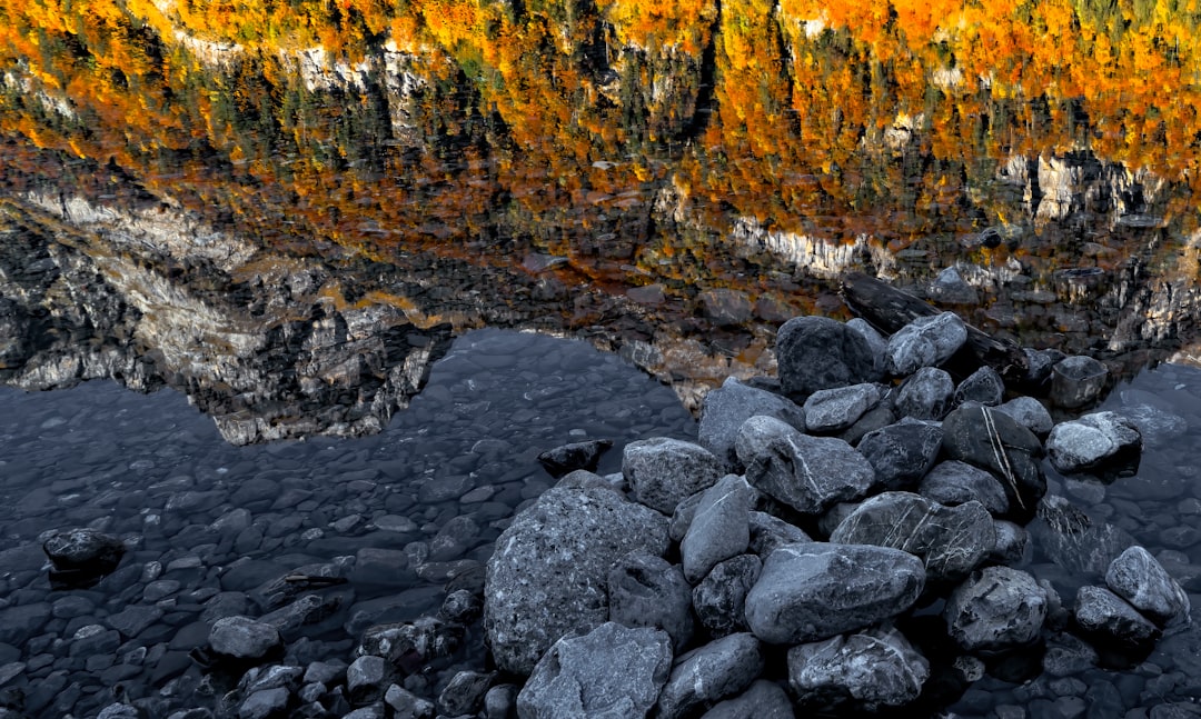 rocky river with rocks and trees