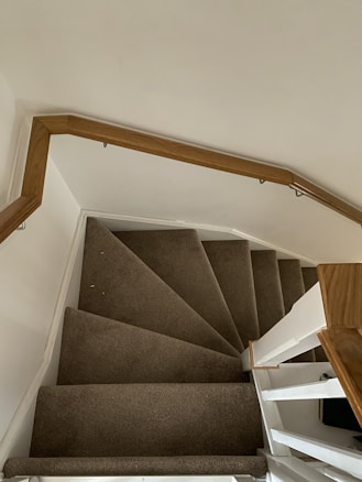 A top-down view of a carpeted spiral staircase with a wooden handrail. The steps are covered in a dark brown carpet, with the staircase structure painted white. The wall beside the staircase is painted light beige.
