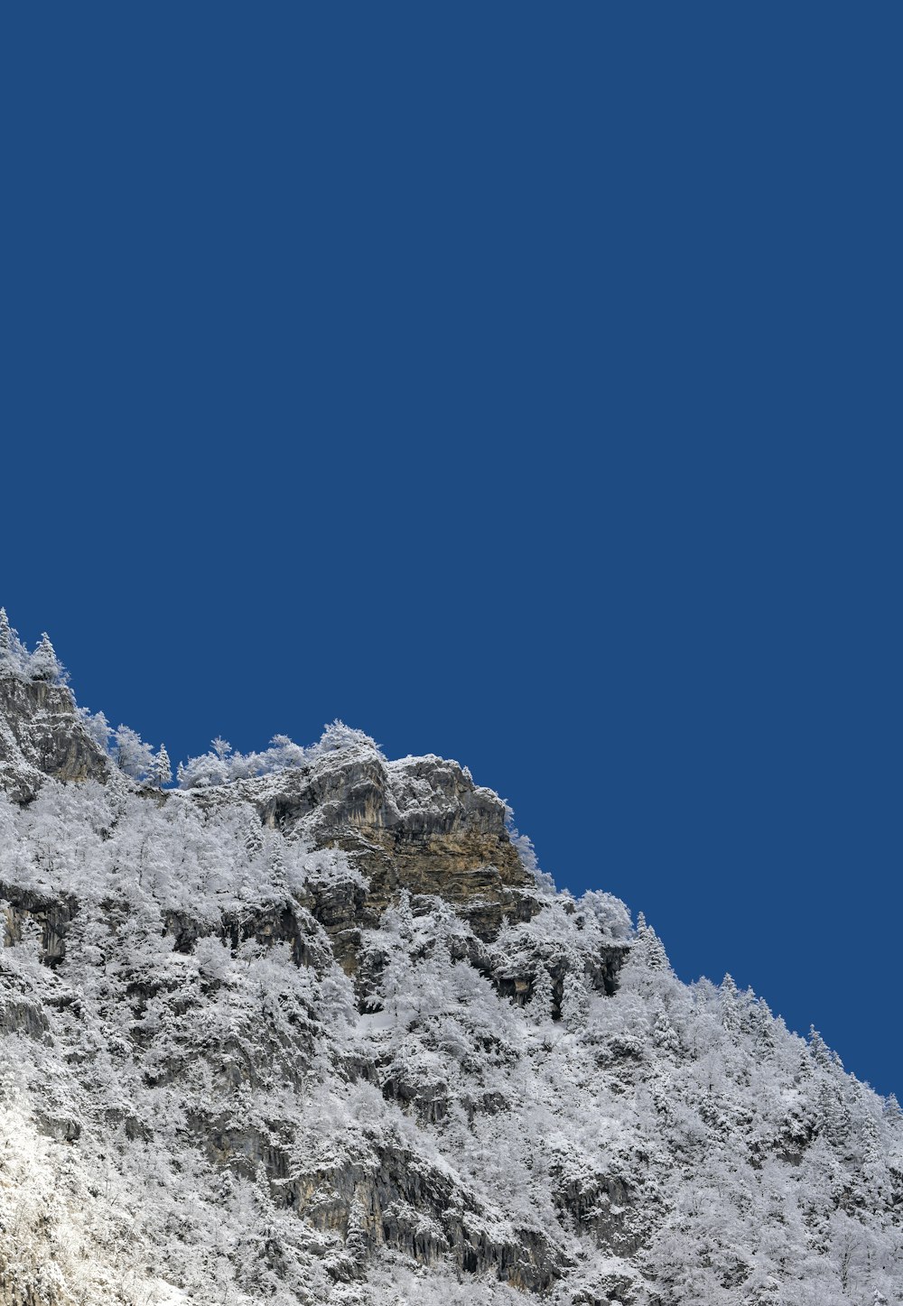 昼間の青空に覆われたロッキー山脈