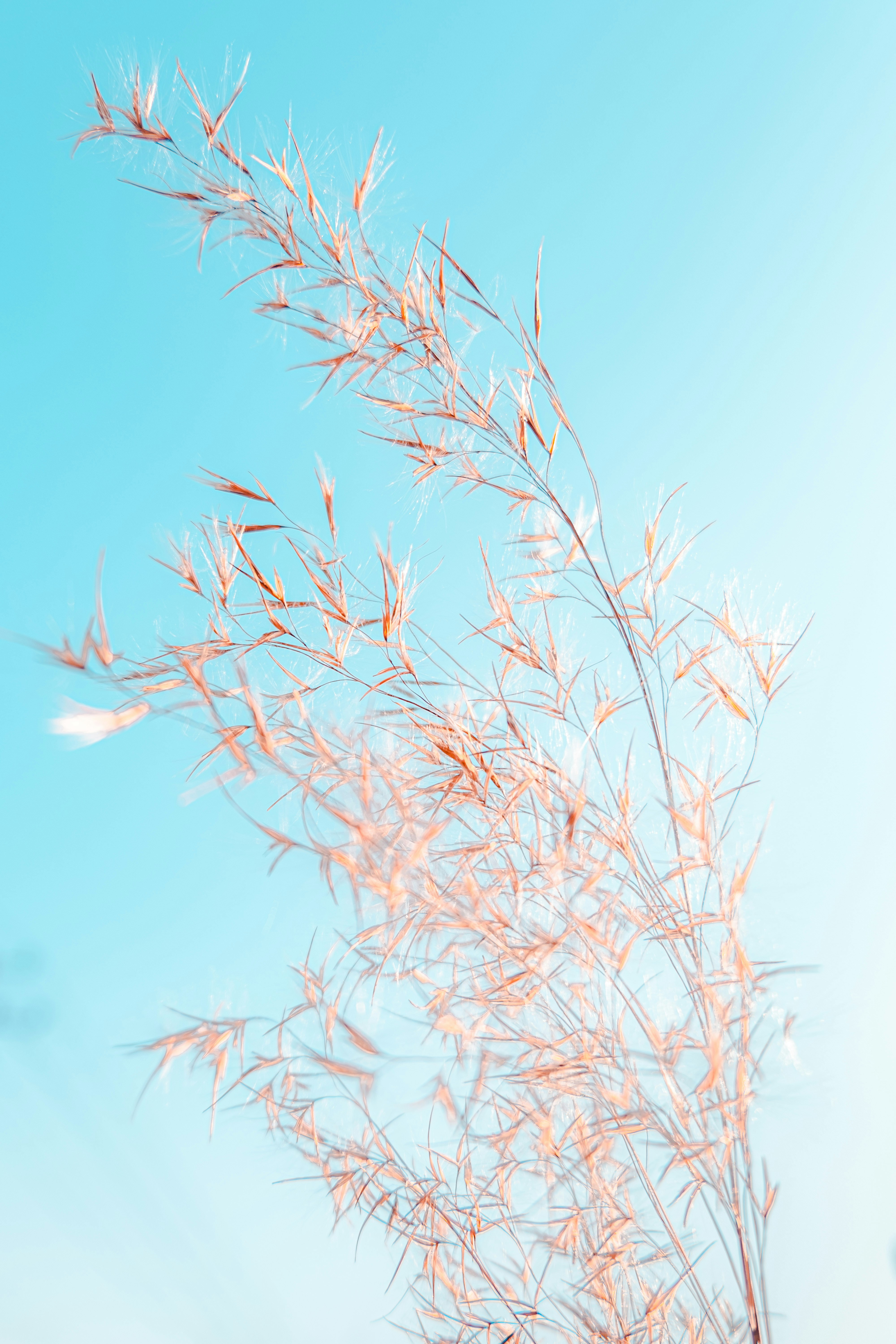 Photo by xiexianghua