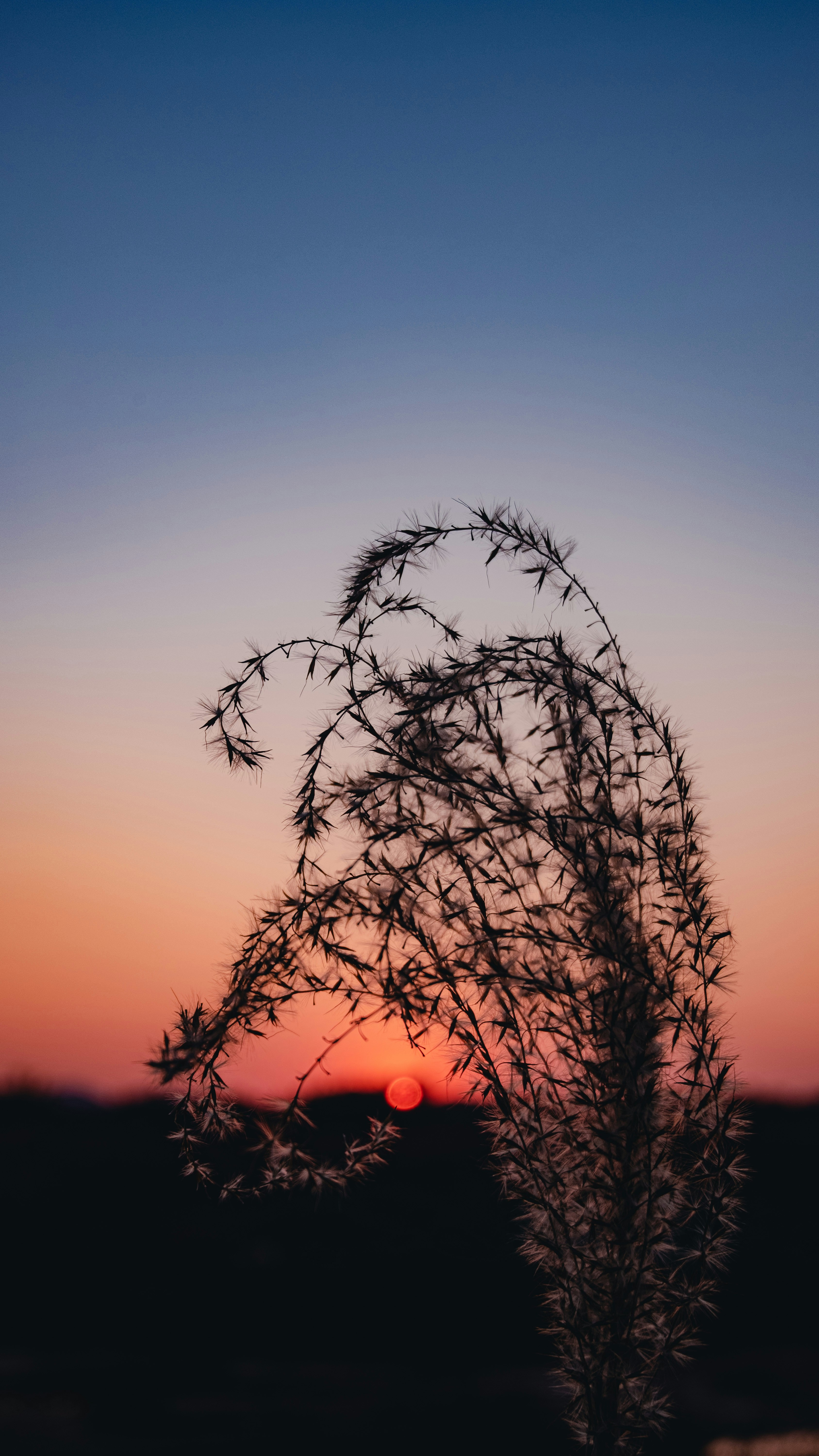 Photo by xiexianghua