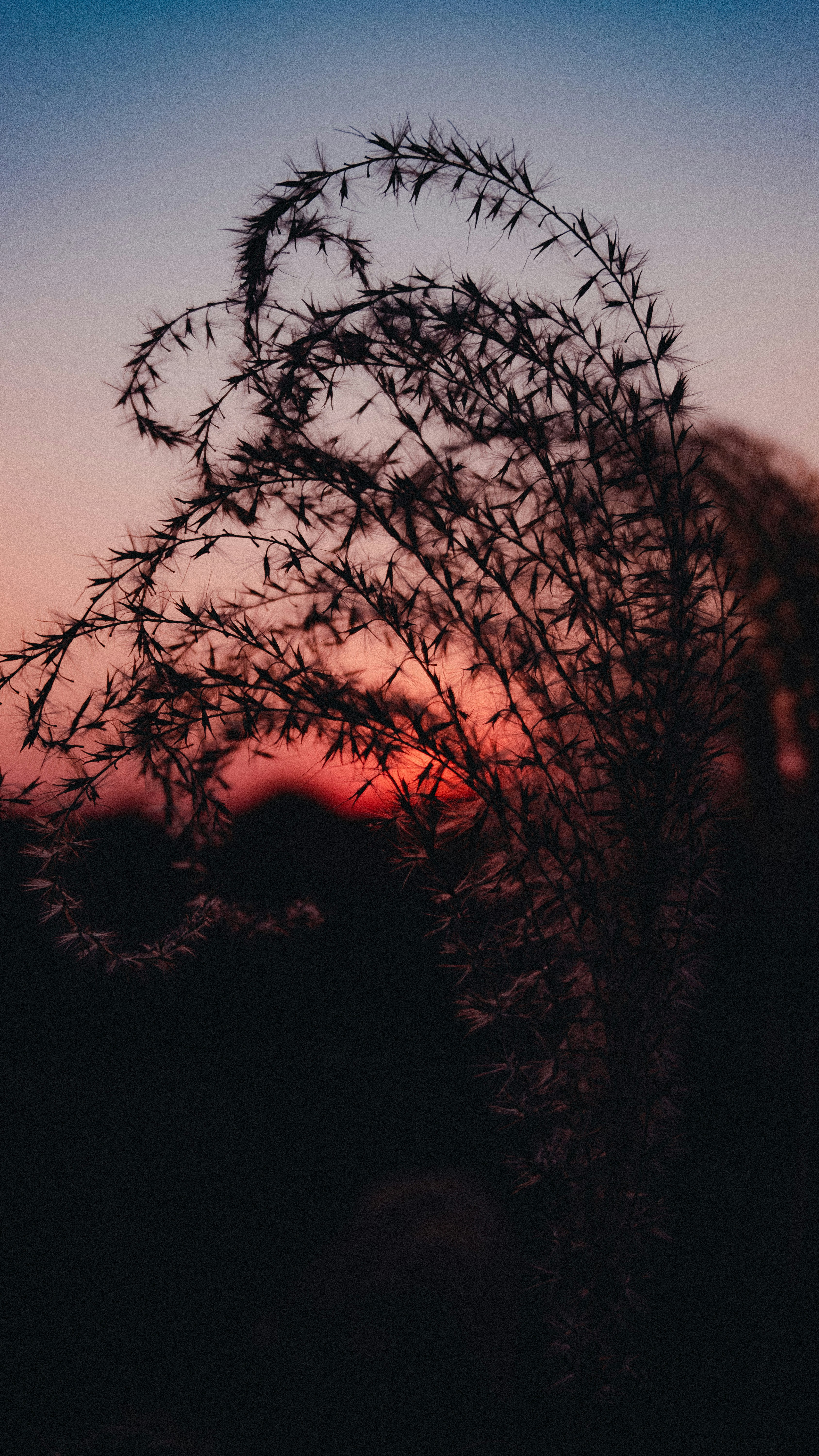 Photo by xiexianghua
