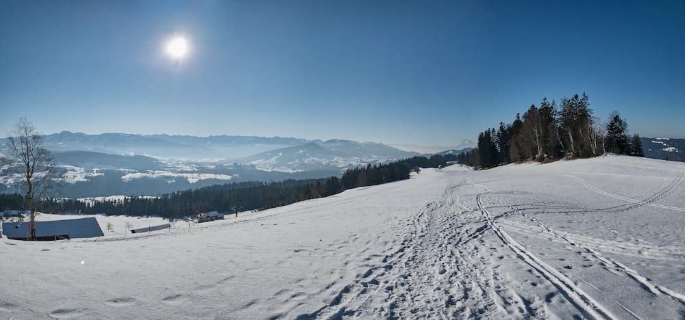 snow covered field and trees under blue sky during daytime