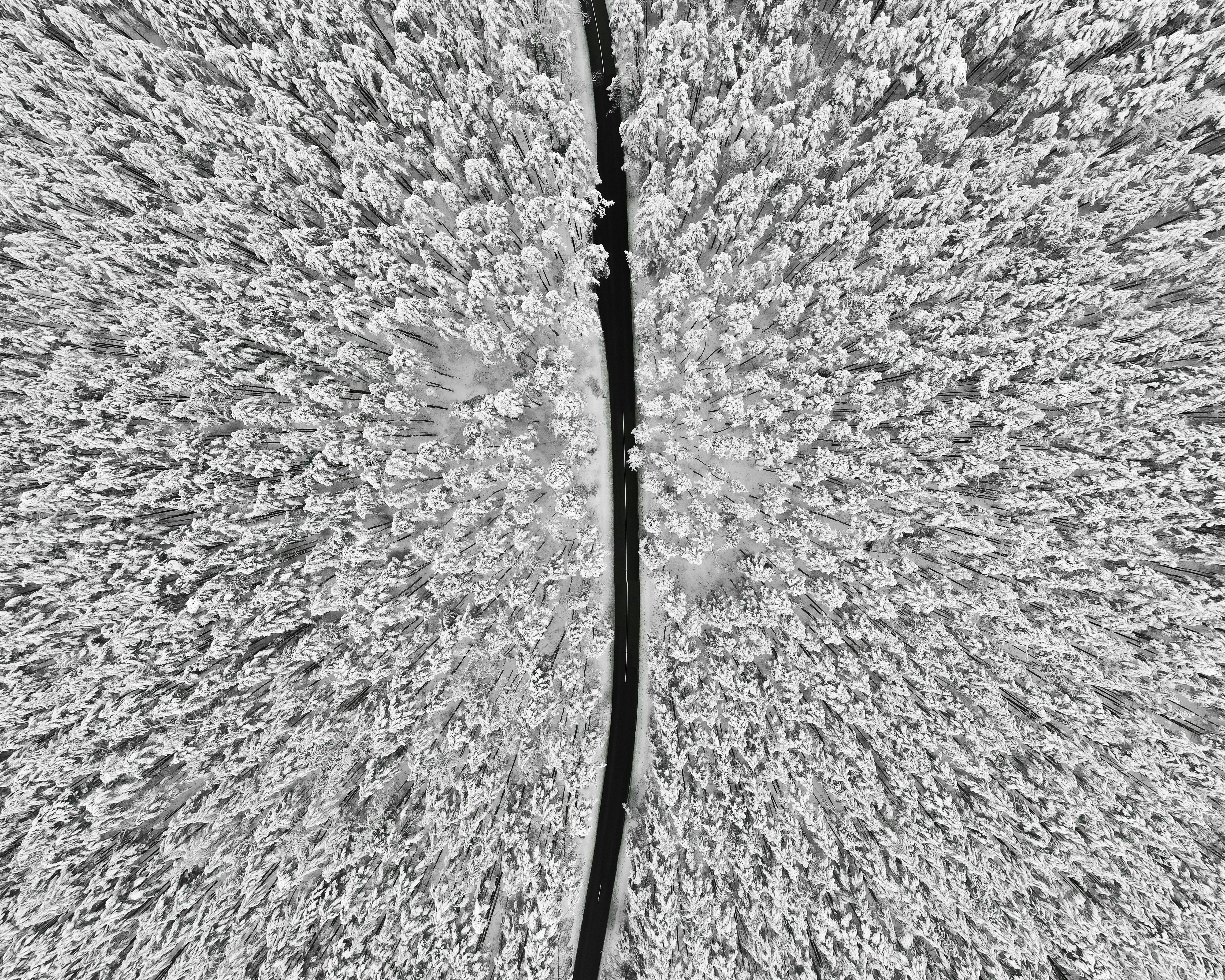 black coated wire on