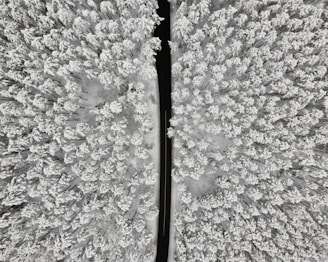 black metal rod on gray and white concrete floor