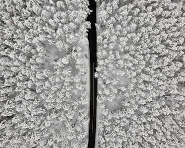 black metal rod on gray and white concrete floor