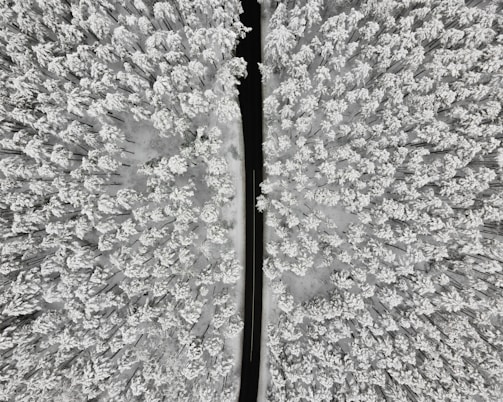 black metal rod on gray and white concrete floor