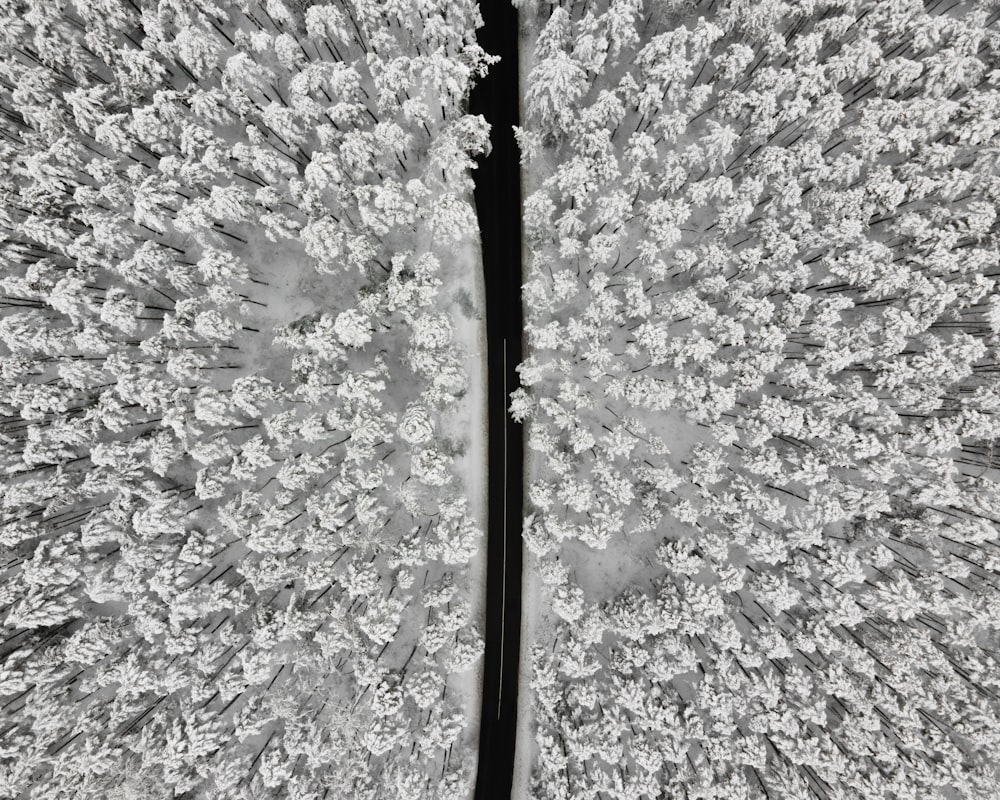 black metal rod on gray and white concrete floor