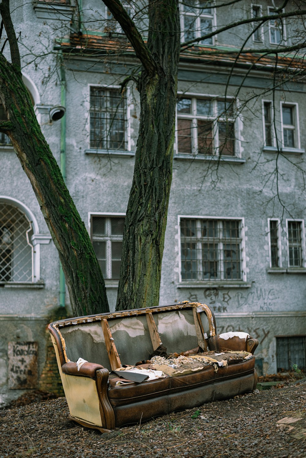 brown tree trunk near brown wooden armchair