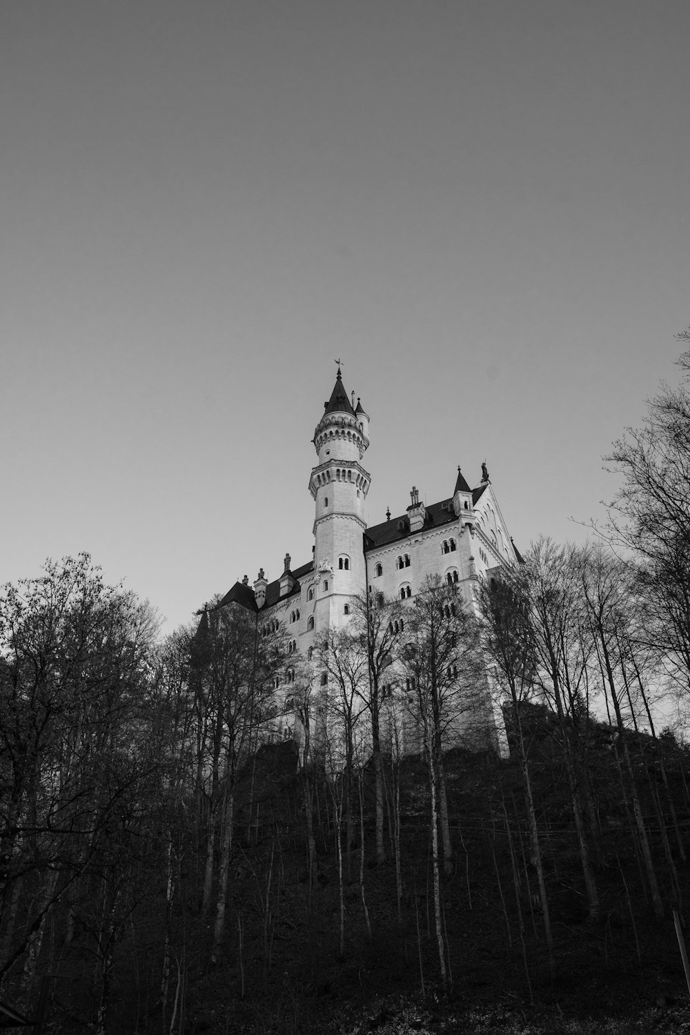 grayscale photo of castle surrounded by trees
