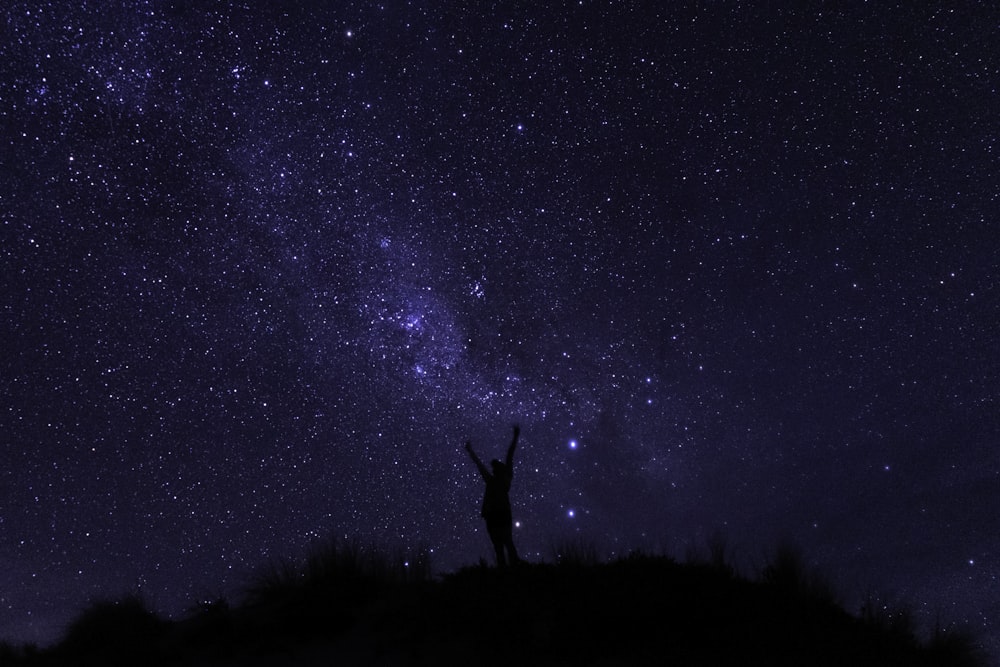 silhouette of person standing on grass field under starry night