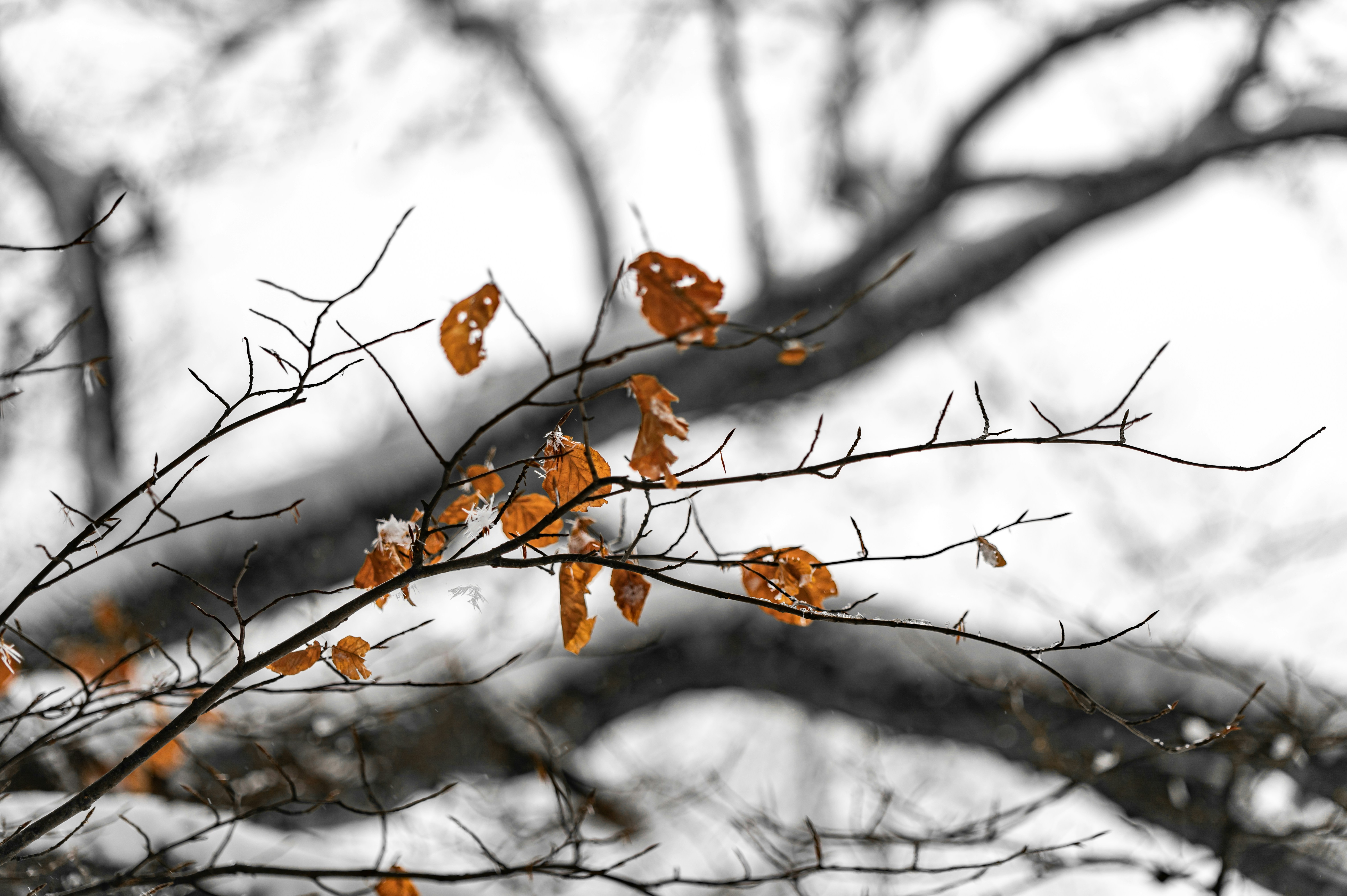 Photo by andreasbrun