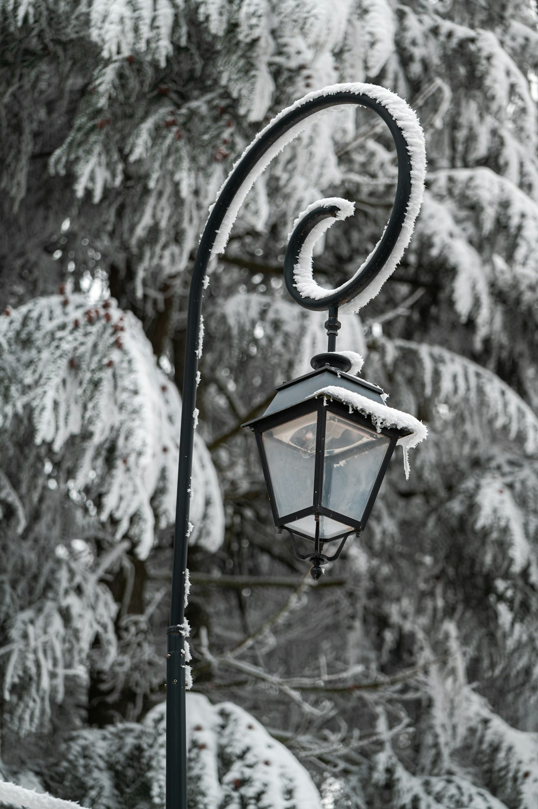 black and white hanging lamp