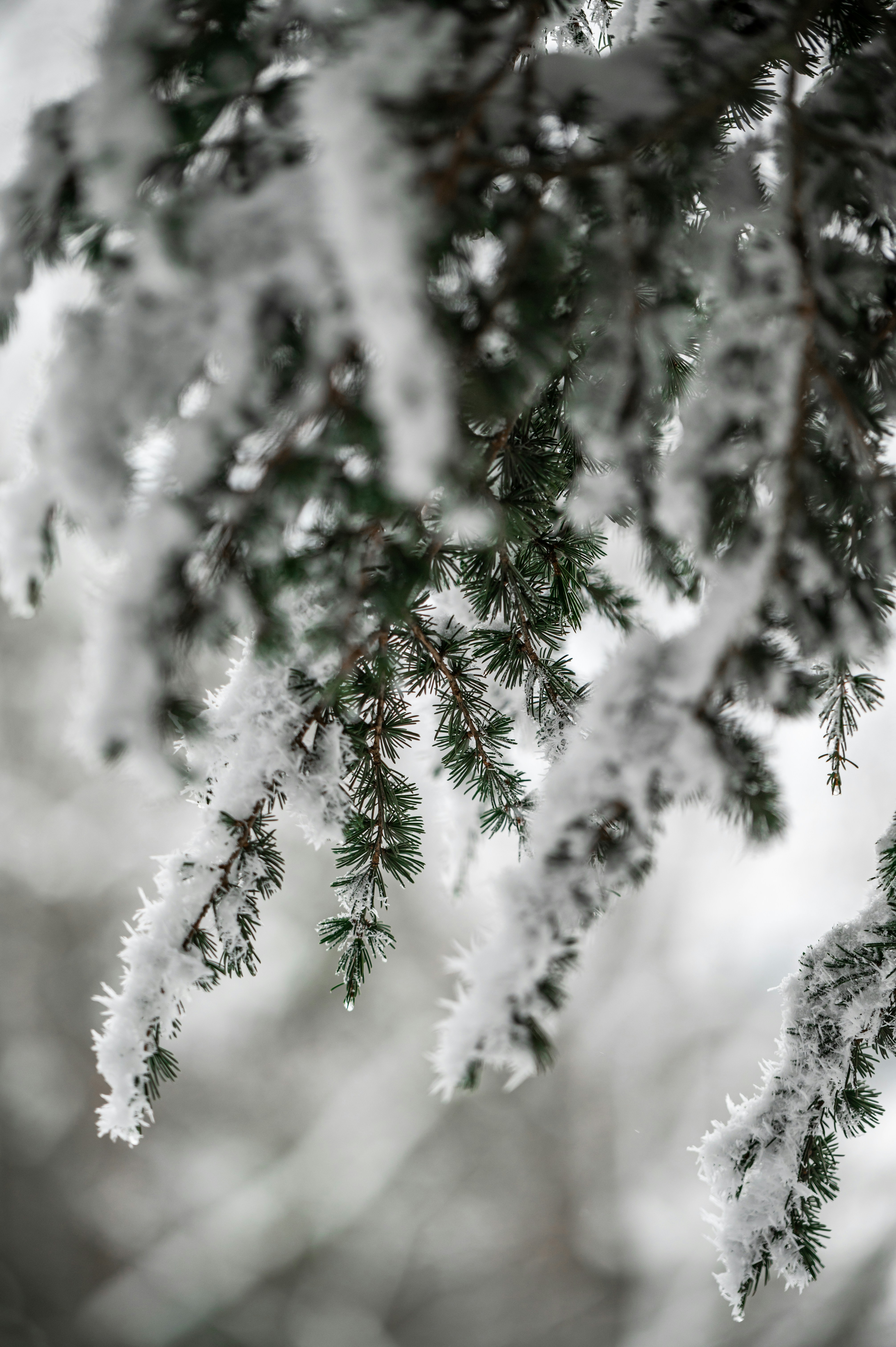 Photo by andreasbrun