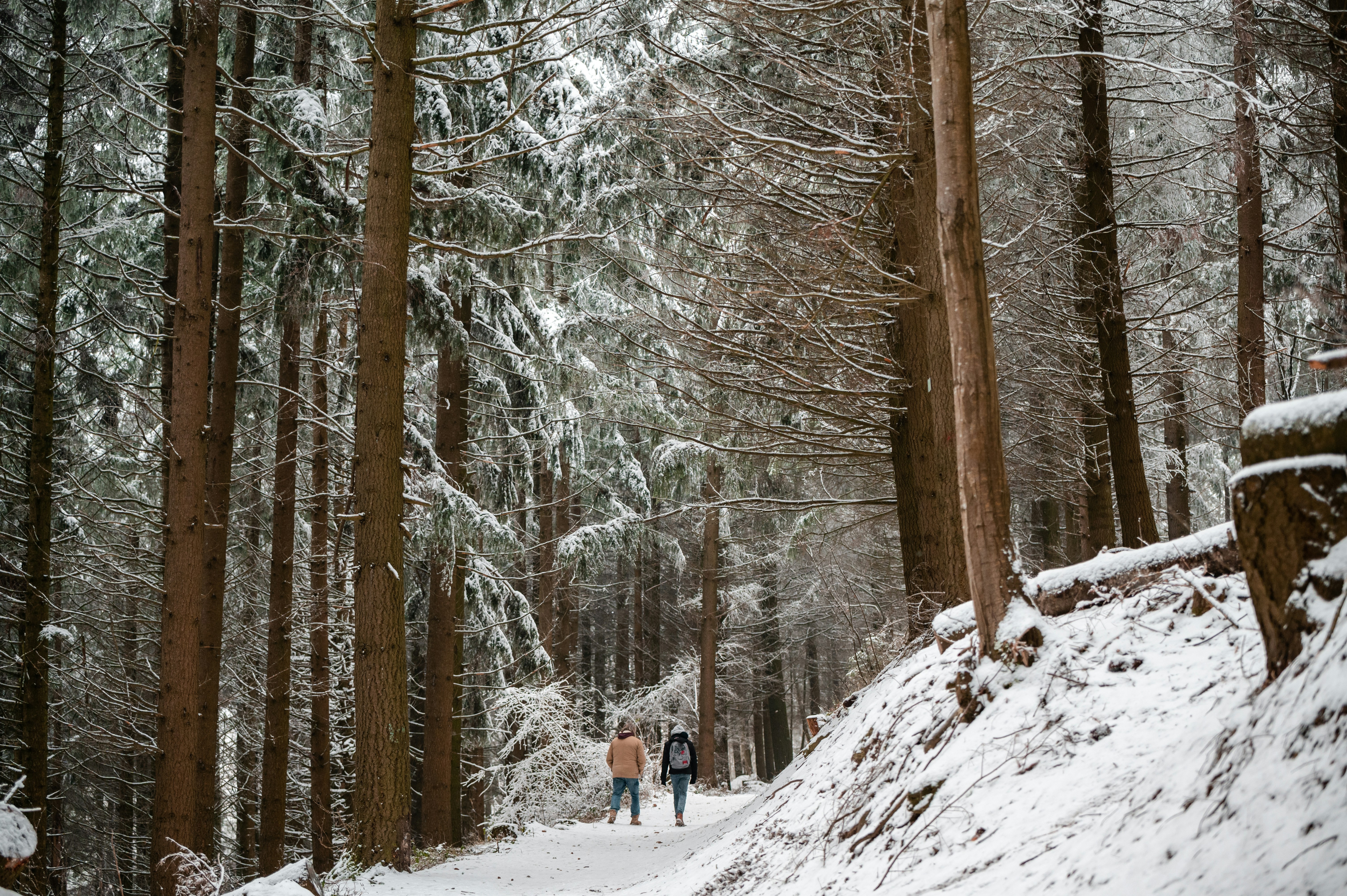 Image by Andréas BRUN via Unsplash