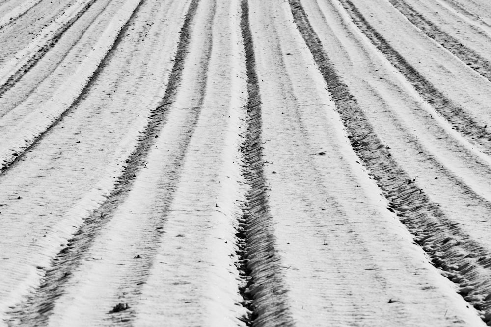 grayscale photo of sand field