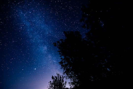 silhouette of trees under blue sky during night time in Ibrány Hungary