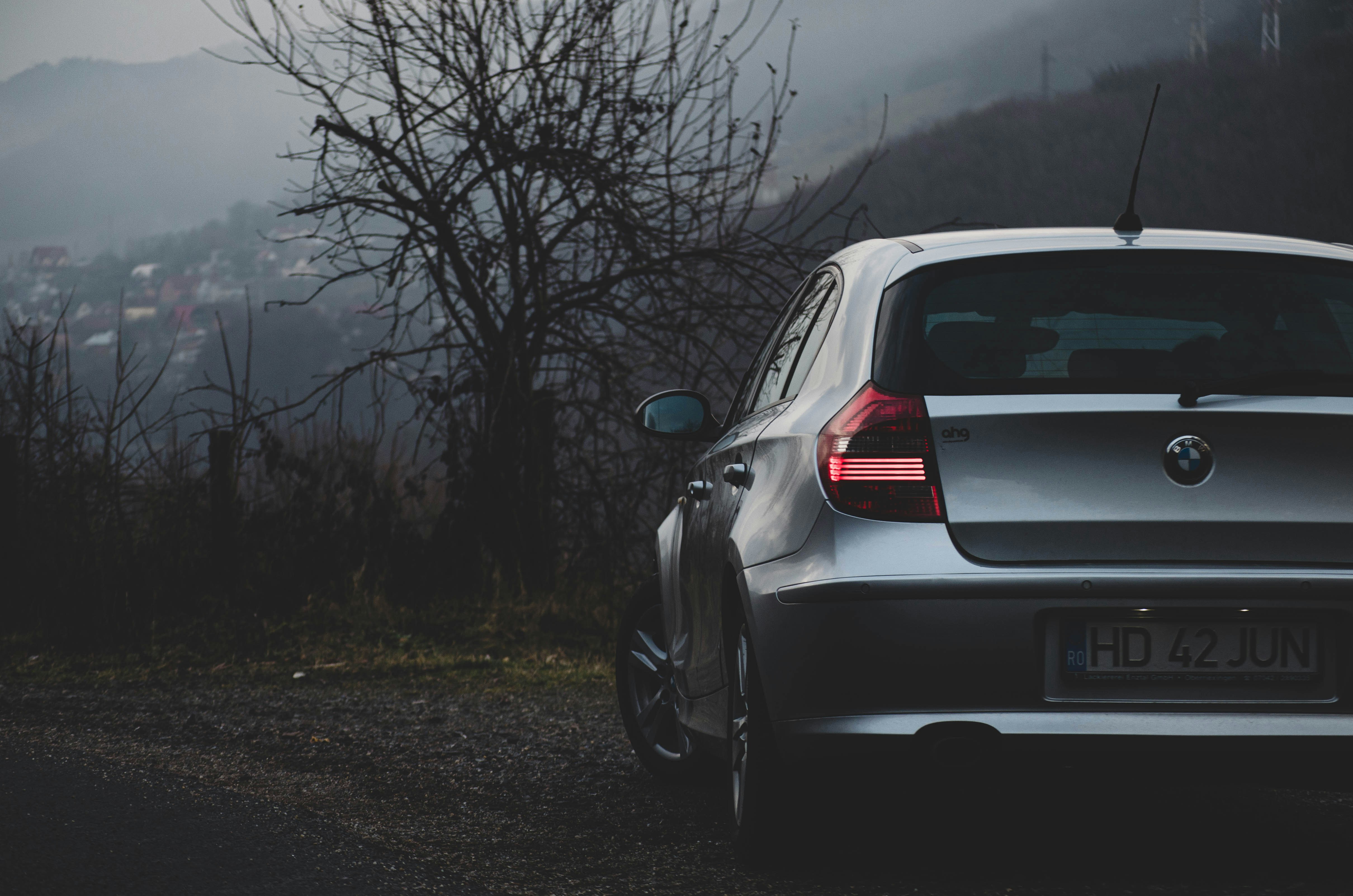Voiture blanche sur la route près d’arbres dénudés pendant la journée