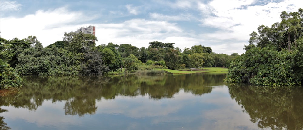 green trees near body of water under cloudy sky during daytime