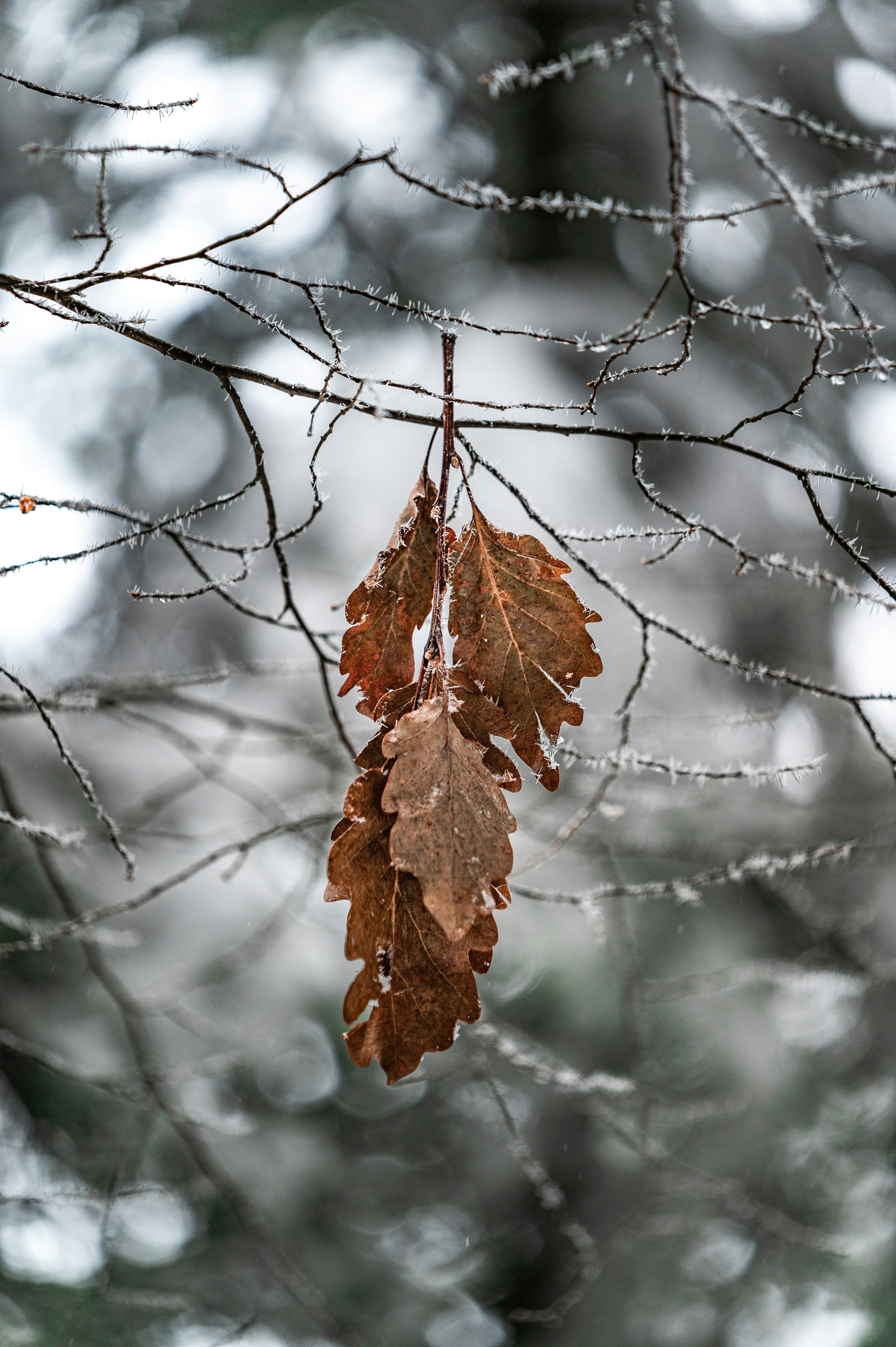 Photo by andreasbrun