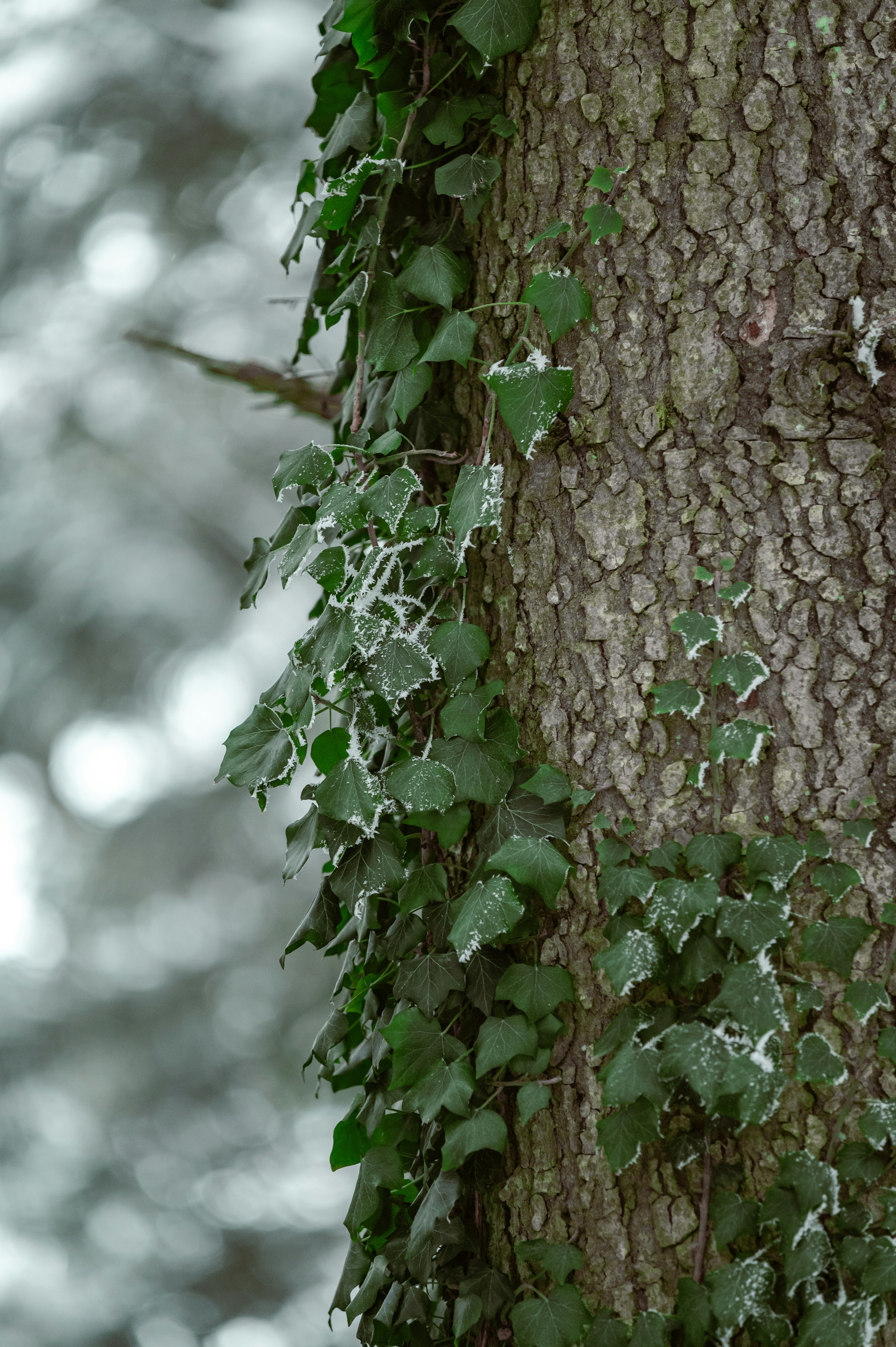 Photo by andreasbrun