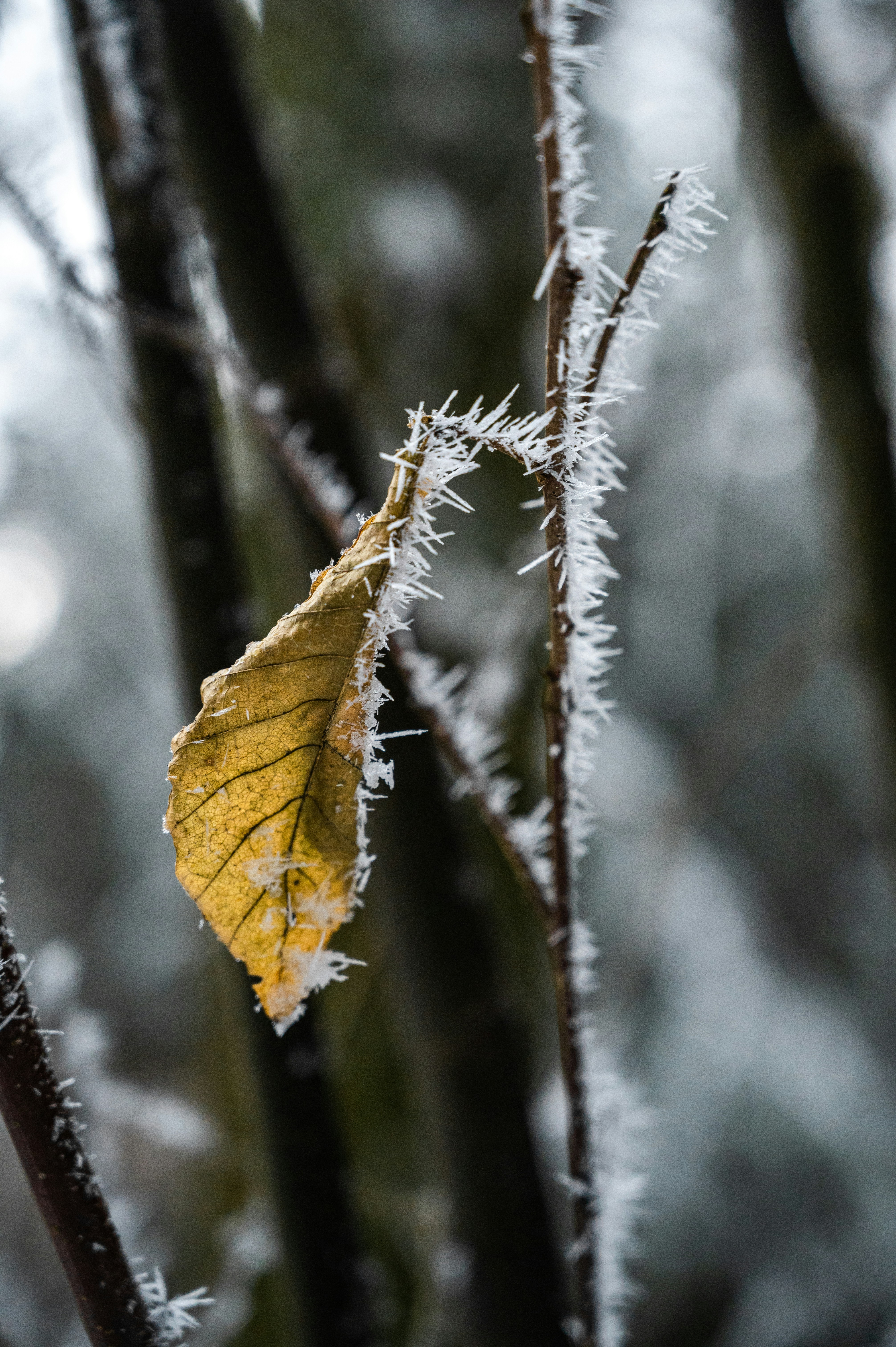 Photo by andreasbrun