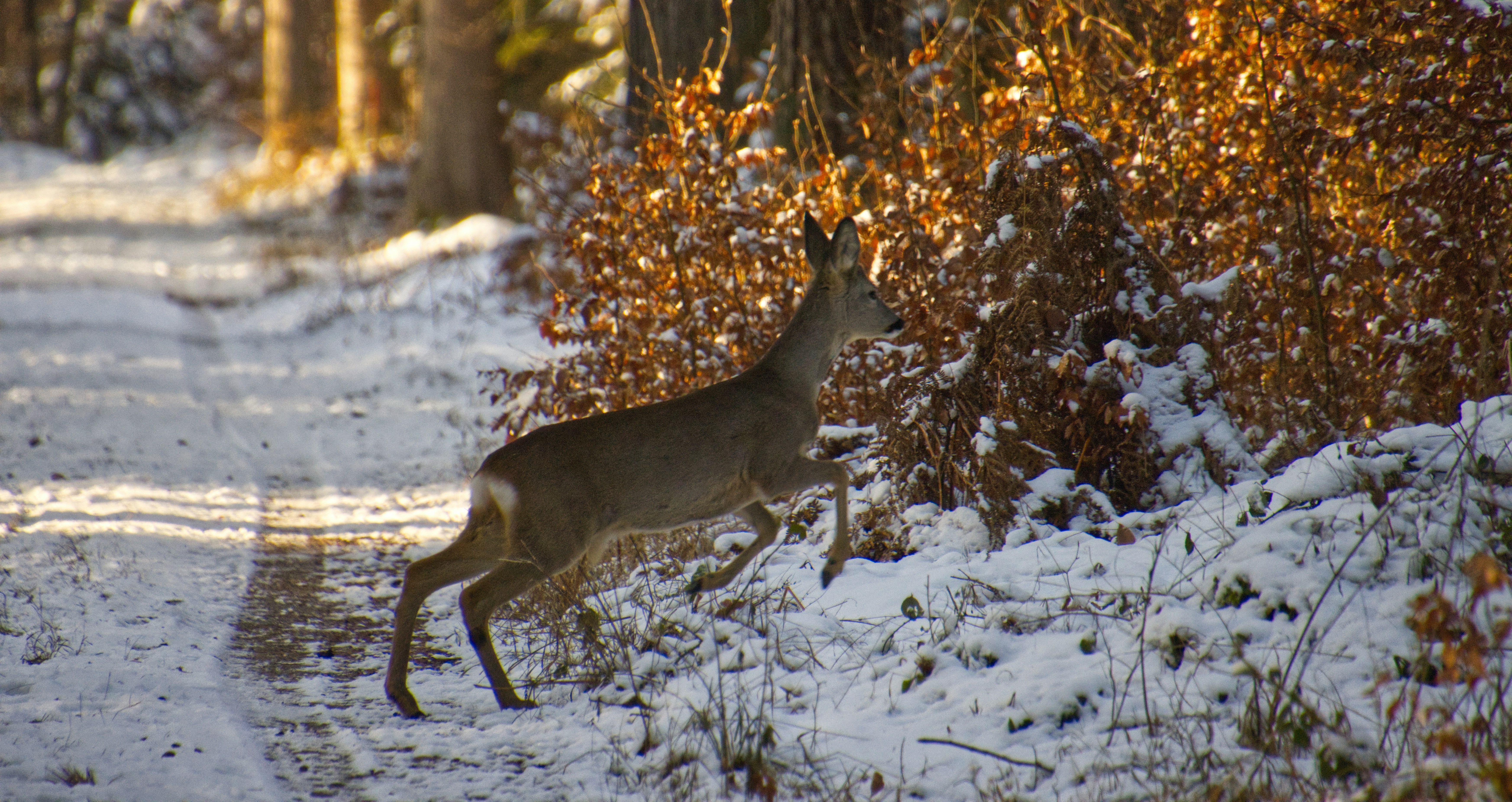 Photo by photasticlab