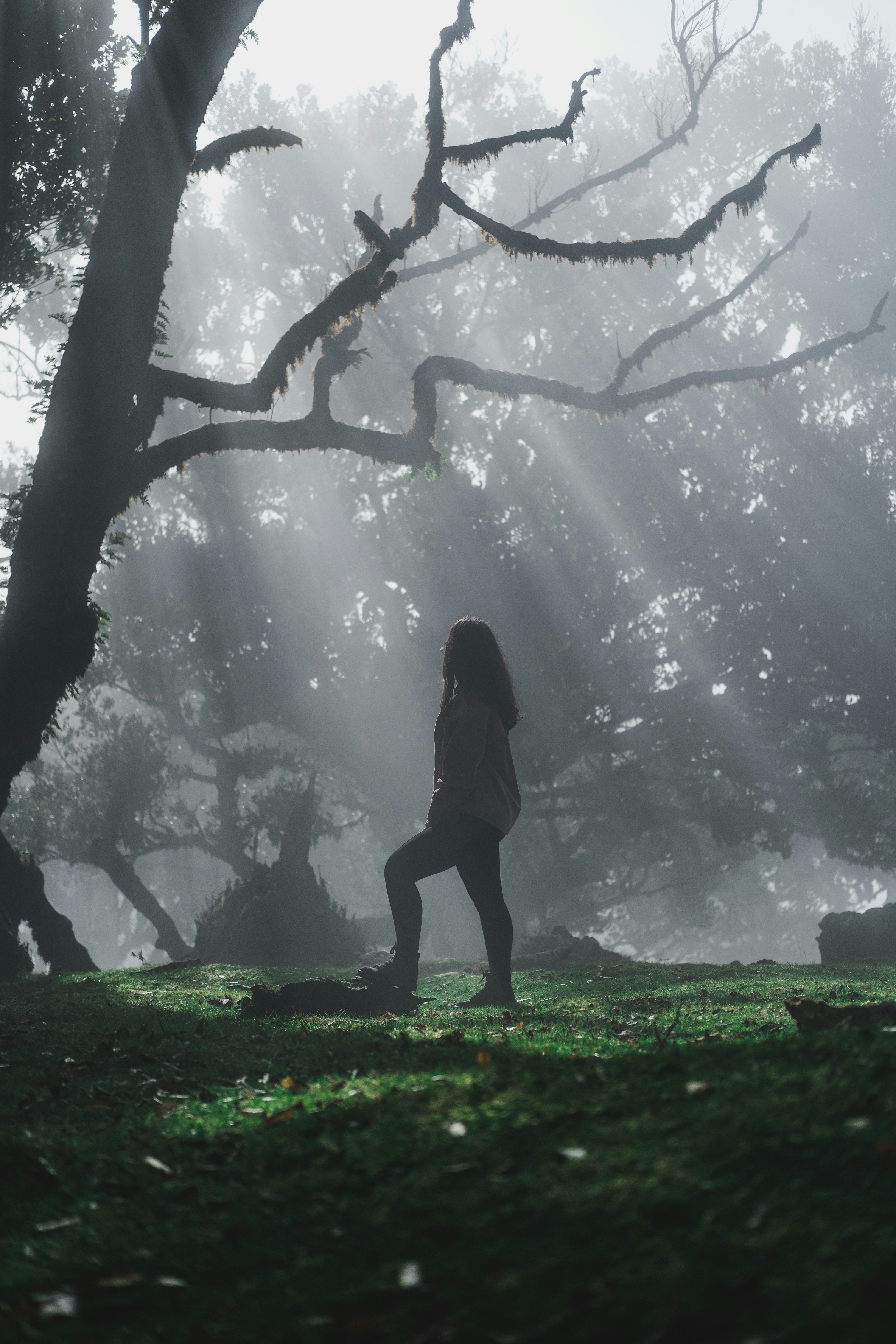 90-Day Mastery Course