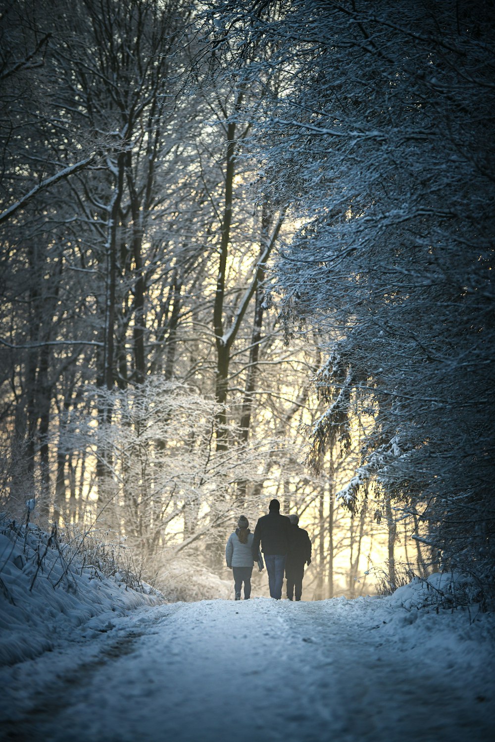 people walking on snow covered ground near trees during daytime