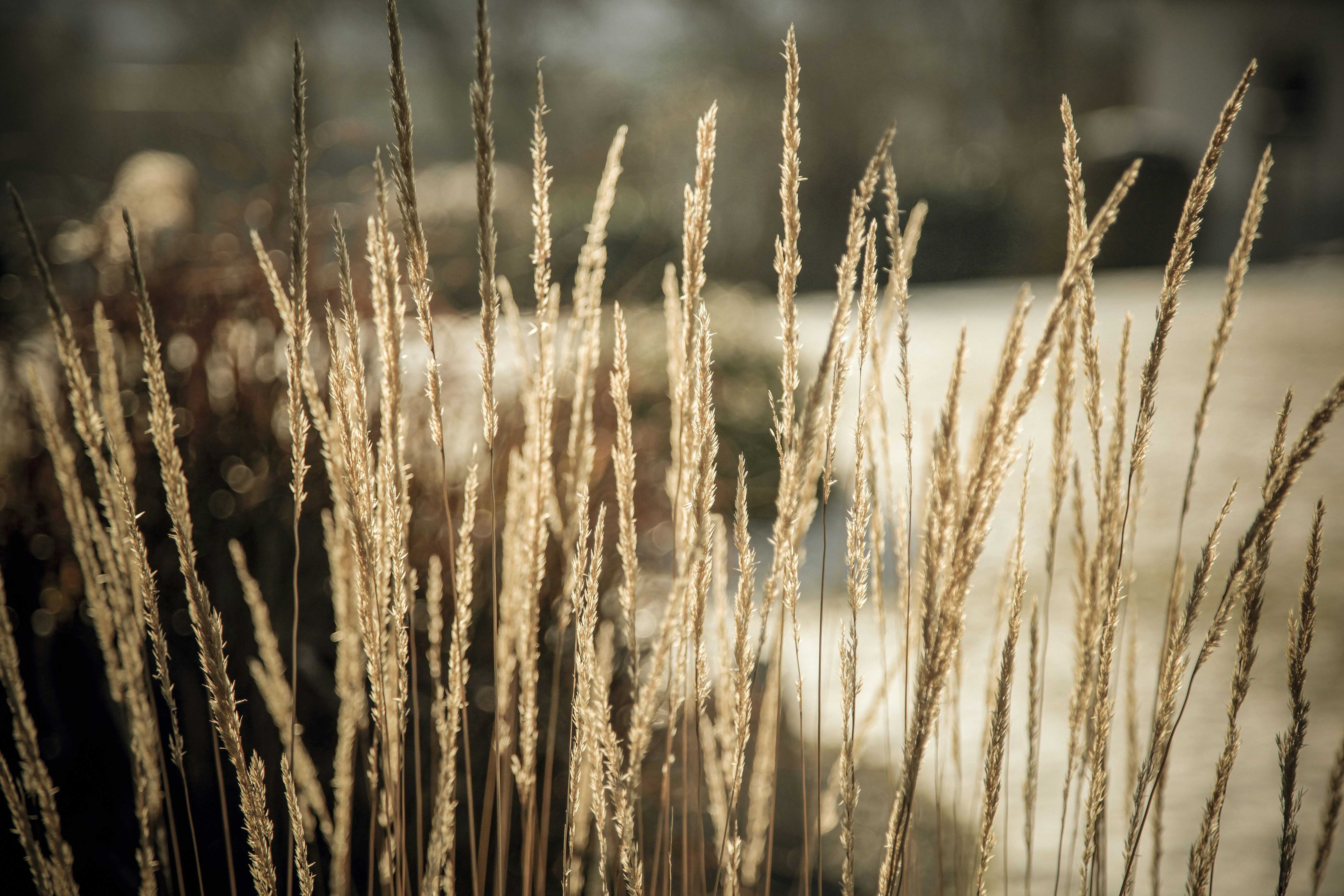 Photo by quadratmedia