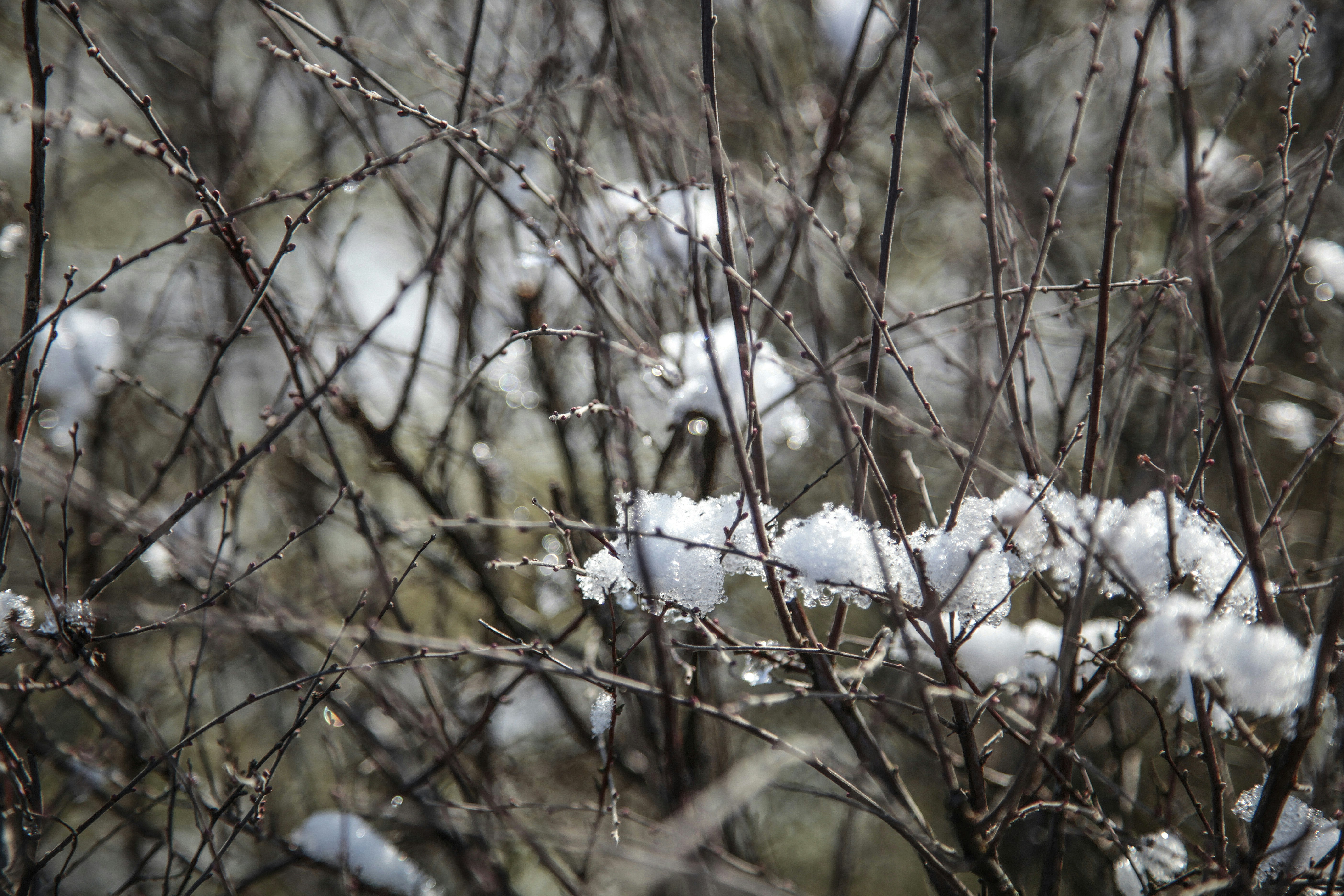 Photo by quadratmedia