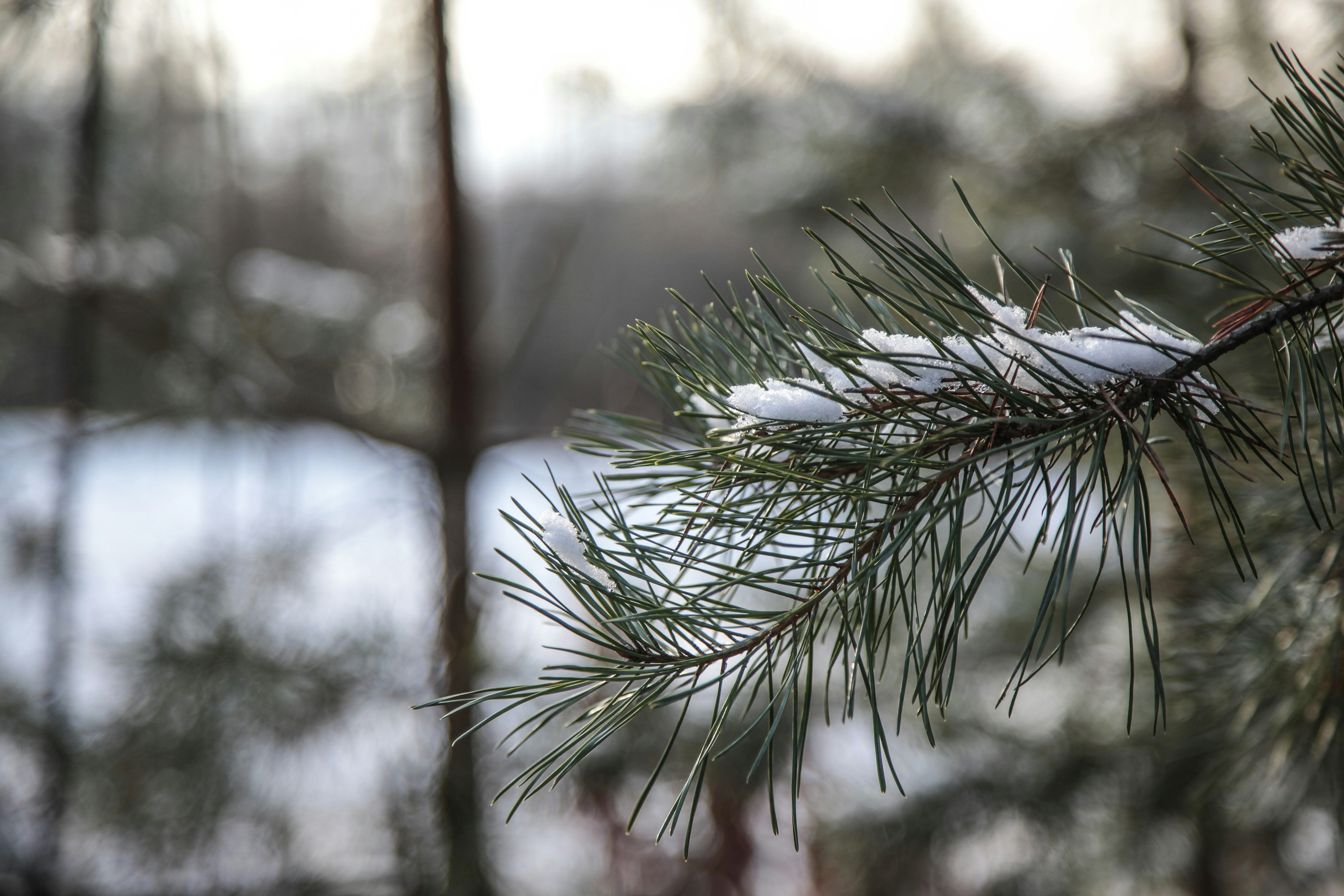 Photo by quadratmedia