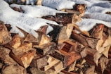 A pile of cut firewood stacked neatly outdoors, partially covered by a layer of fresh, white snow. The wood shows a range of natural tones, with visible bark and exposed raw surfaces.