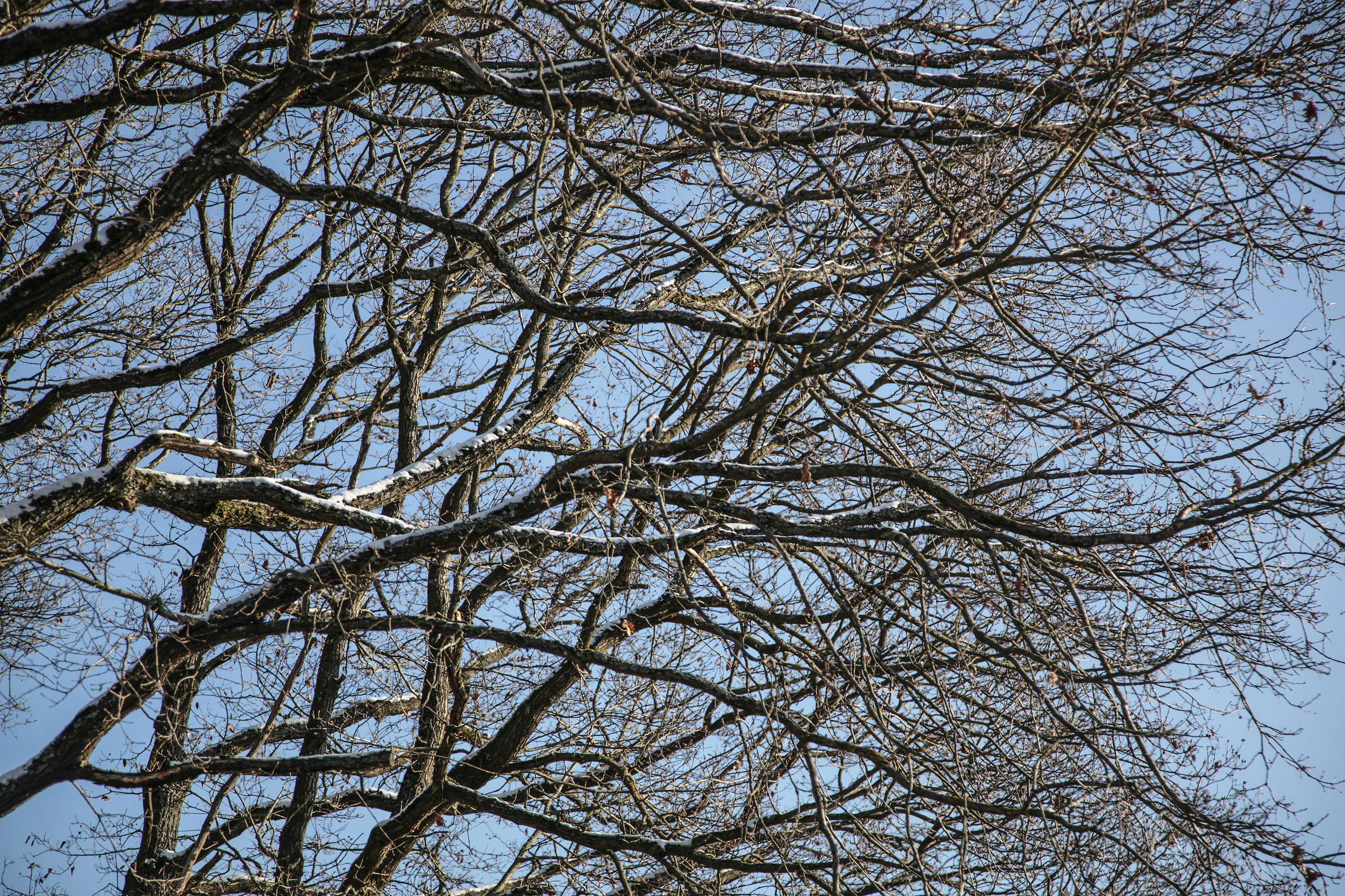 Photo by quadratmedia