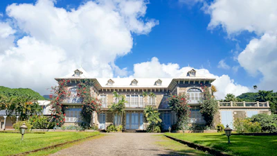 A majestic large luxury home with tropical landscaping and a clear blue sky backdrop.