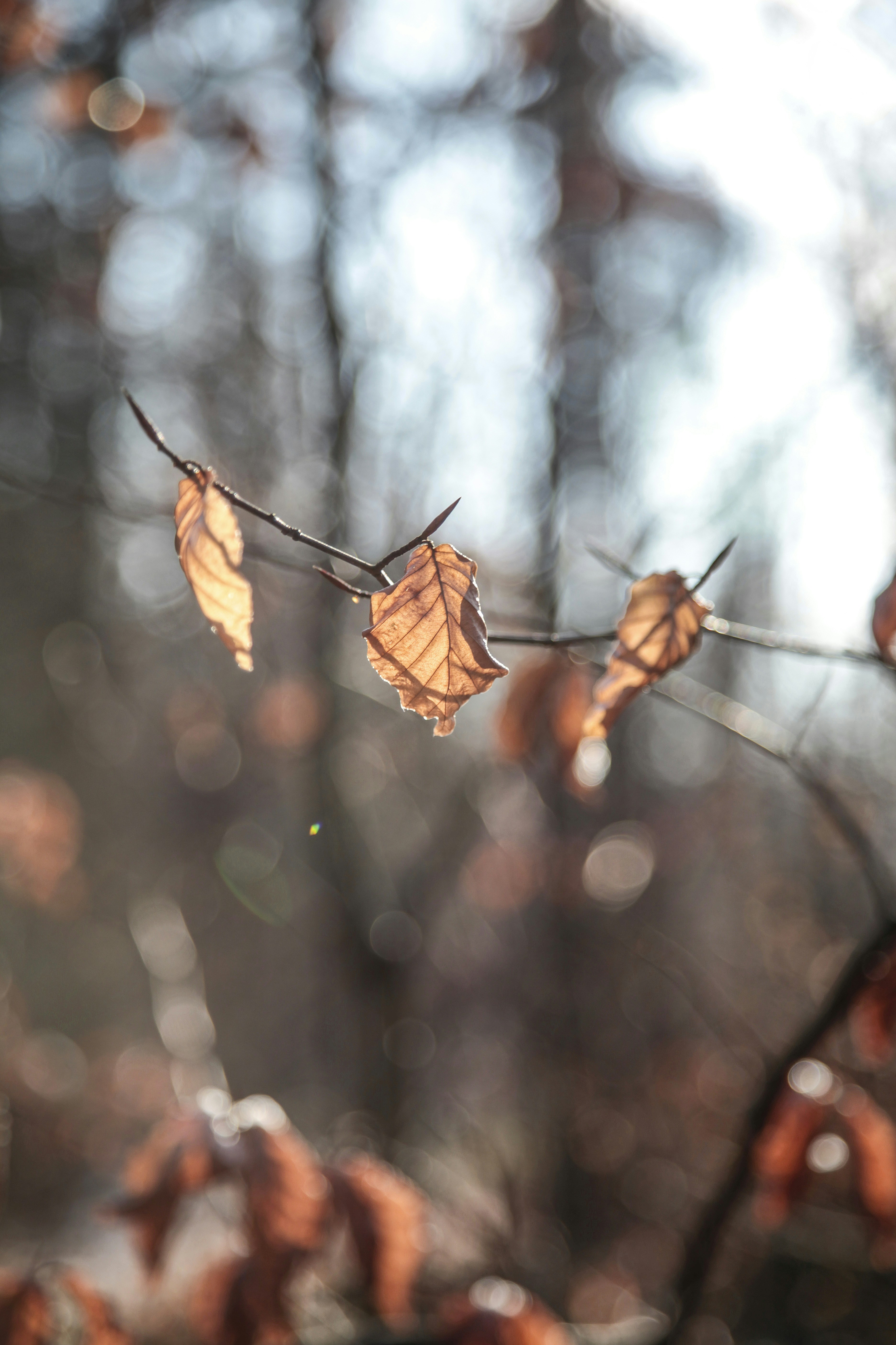 Photo by quadratmedia